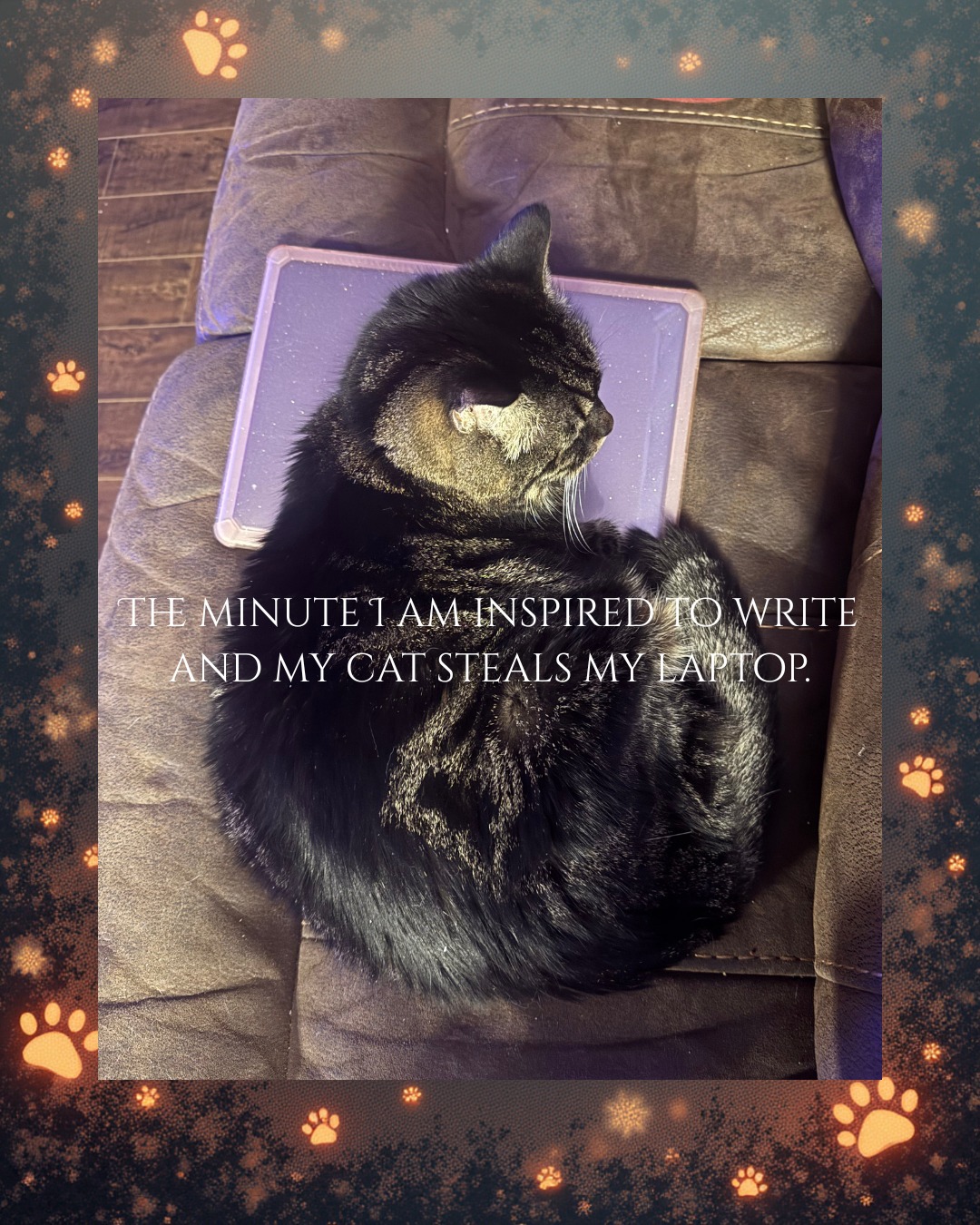 When inspiration comes, but I am faced with an obstacle. Find another way. #writinglife #lisakcreations #catandwriting #inspiration