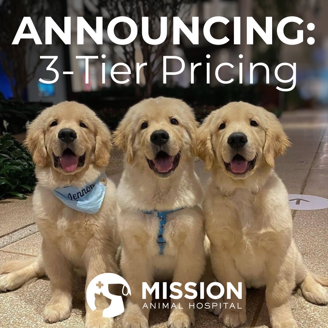 ❗❗We’re introducing a new three‑tier pricing model on January 15, 2026, to help keep high‑quality veterinary care accessible for every family.
Your pet will continue to receive the same exceptional medical care from our team—no matter which pricing level you qualify for.
Thank you for trusting us with your pet’s care!
#missionanimalhospital