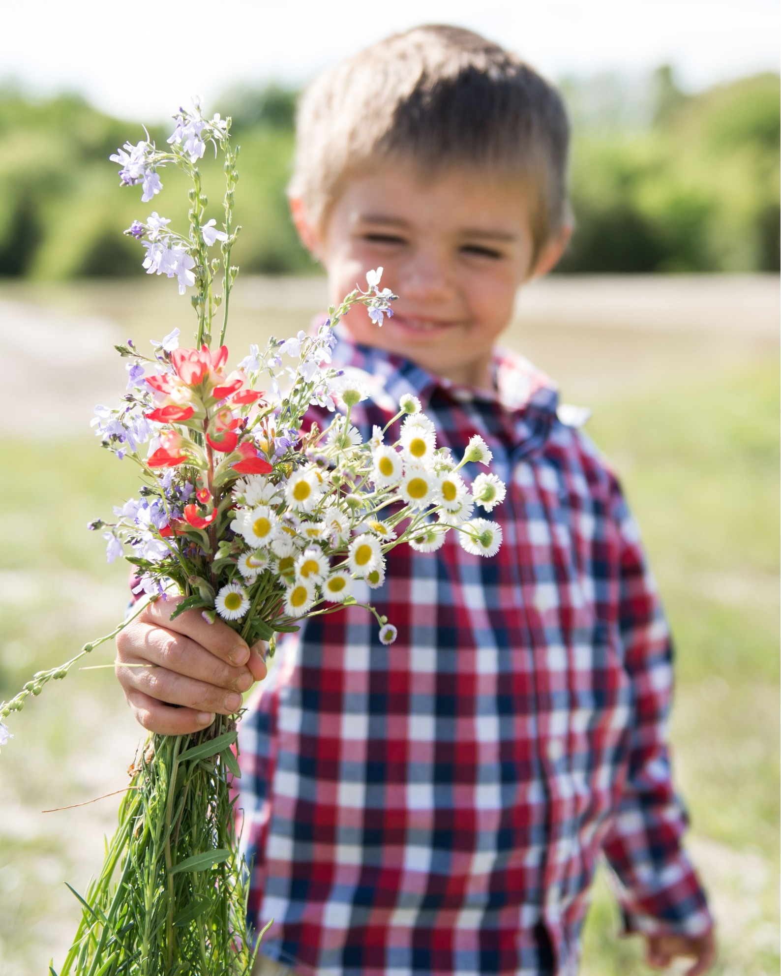 North Texas Friends! I'm wanting to plant ZINNIAS 🏵 this year. Have you had better luck with transplants or direct sowing? What are your favorite varieties? Thank you! ❤