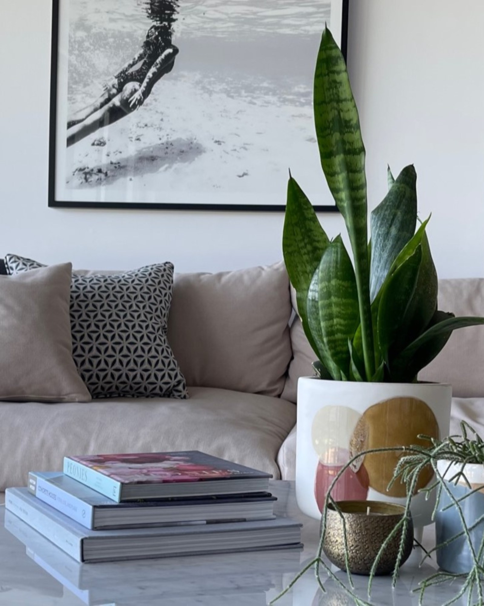 A quiet corner from the NB house lounge, where soft tones and thoughtful styling create an easy sense of comfort.
We love how simple elements come together here to feel both relaxed and beautifully considered.
Your dream home begins with a conversation. ✨
Contact Deborah at Hannaford Ross to take the first step.
#HannafordRoss #NBHouse #LoungeRoom #InteriorDesign #CalmHome #RefinedLiving #AustralianDesign #StyledSpaces #DesignProcess