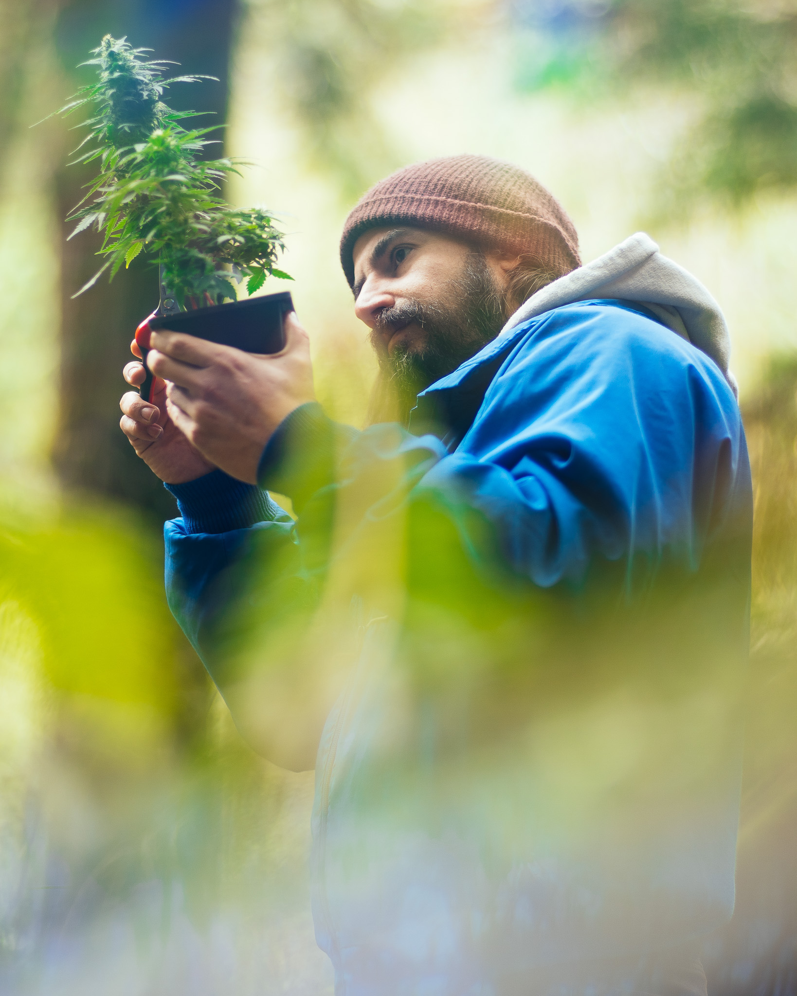 Bonsai is as much about learning to observe as it is about shaping. Cannabis teaches that same skill when you allow yourself to slow down. Cannabonsai exists where those lessons overlap, turning growth into a conversation rather than a goal.
Grown with genetics from @_mephistogenetics. Use code cannabonsai for 10% off at the link in bio.