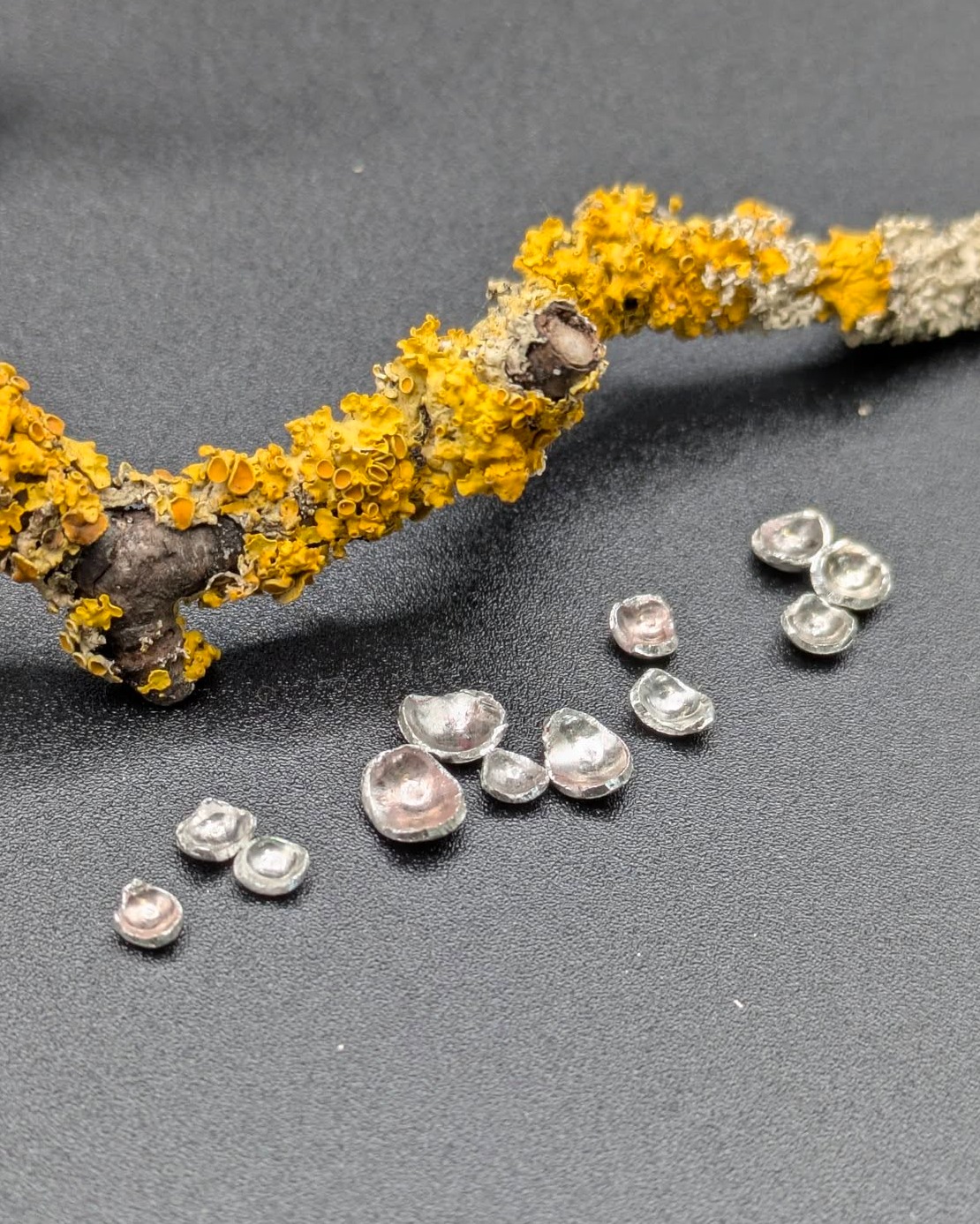 I've been cutting out lots of little lichen shapes to create a necklace. They're quite tricky to hold on to as they're really small and therefore very easy to drop on the floor never to be seen again!!