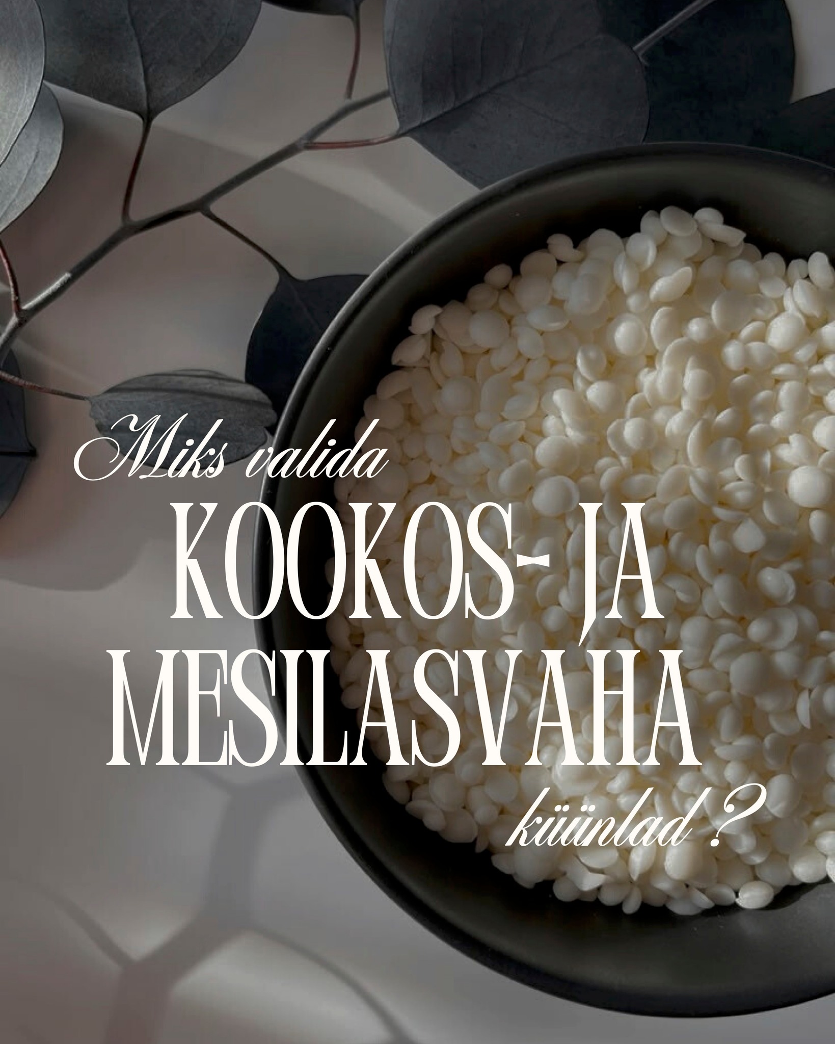 ✨ Miks valida kookos- ja mesilasvaha küünlad? ✨
Meie bränd Burning Art eelistab teadlikult kookos- ja mesilasvaha, sest need pakuvad palju eeliseid võrreldes sojavahaga.
🟤 Tootmine
Kookos- ja mesilasvaha on 100% naturaalne, ei vaja keemilist töötlemist ning põleb puhtalt ja ühtlaselt. Sojavaha on sageli GMO-põhine ja töödeldud kemikaalidega.
🟤 Pikem põlemisaeg
Kookosvaha põleb kõige kauem, mesilasvaha teisel kohal. Sojavaha põleb kuni 30% kiiremini.
🟤 Stabiilne kuju
Kookos- ja mesilasvaha hoiavad küünla kuju, ei tekita külmalaike ega kihistumist, pakkudes alati kaunist ja ühtlast tekstuuri. Sojavahast küünal on vähem stabiilne – võib tekkida külmalaike ja kihistumist.
🟤 Pehme leek
Kookos- ja mesilasvaha põlemine on rahulik ja ühtlane, sojavaha leek on intensiivsem ja vähem stabiilne. Sojavaha annab vähe suitsu, kuid veidi rohkem kui kookos- ja mesilasvaha.
🟤 Aroomide puhtus
Kookos- ja mesilasvaha lasevad lõhnadel loomulikult ja õrnalt avane, sojavaha aroom ei avane nii puhtalt ja nõuab rohkem lõhnaaineid.
🟤 Õhu puhastus ja allergiasõbralikkus
Mesilasvaha puhastab õhku negatiivsete ioonide abil ja sobib allergikutele.
🟤 Vaha tarbimine
Kookos- ja mesilasvaha põleb praktiliselt täielikult, sojavahast jääb sageli väike kiht sulamata vaha.
Kookos- ja mesilasvaha loovad küünlale sooja, hinge ja tõelise hubasuse, mida sojavaha ei paku. 🕯️🤍
🫶 burningart.ee
#kookosvaha #mesilasvaha #käsitööküünlad #puhtapõlemine #hubanekodu #küünlavalgus #burningart #eestibränd #looduslikkus #käsitöö #küünlaarmastus #aegiseendale #soojus #rahulikõhtu #sojavaha