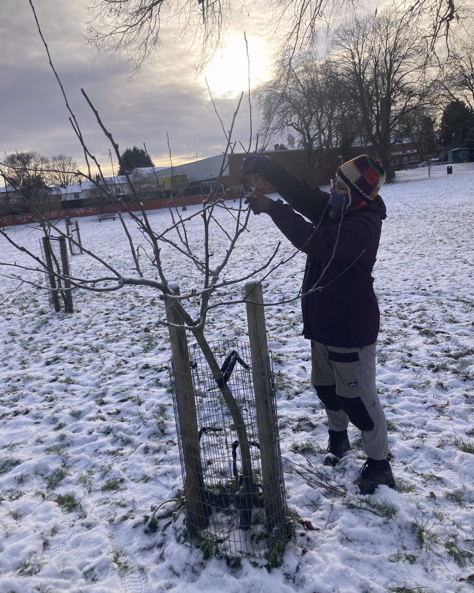 Pruning our #NewOldOrchard at #StirchleyPark last week, making sure the #HeritageApples and other #HeritageFruit trees are thriving and surviving during the harsh, cold weather!