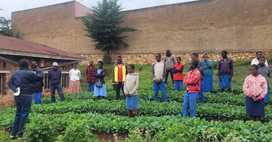 Last week SIA partner from Burundi, APDEI, shared an update of their cabbage plants distribution within fundamental schools in Gosozi zone. They were happy to report that almost all school children were very interested and took an average of 100 plants each.