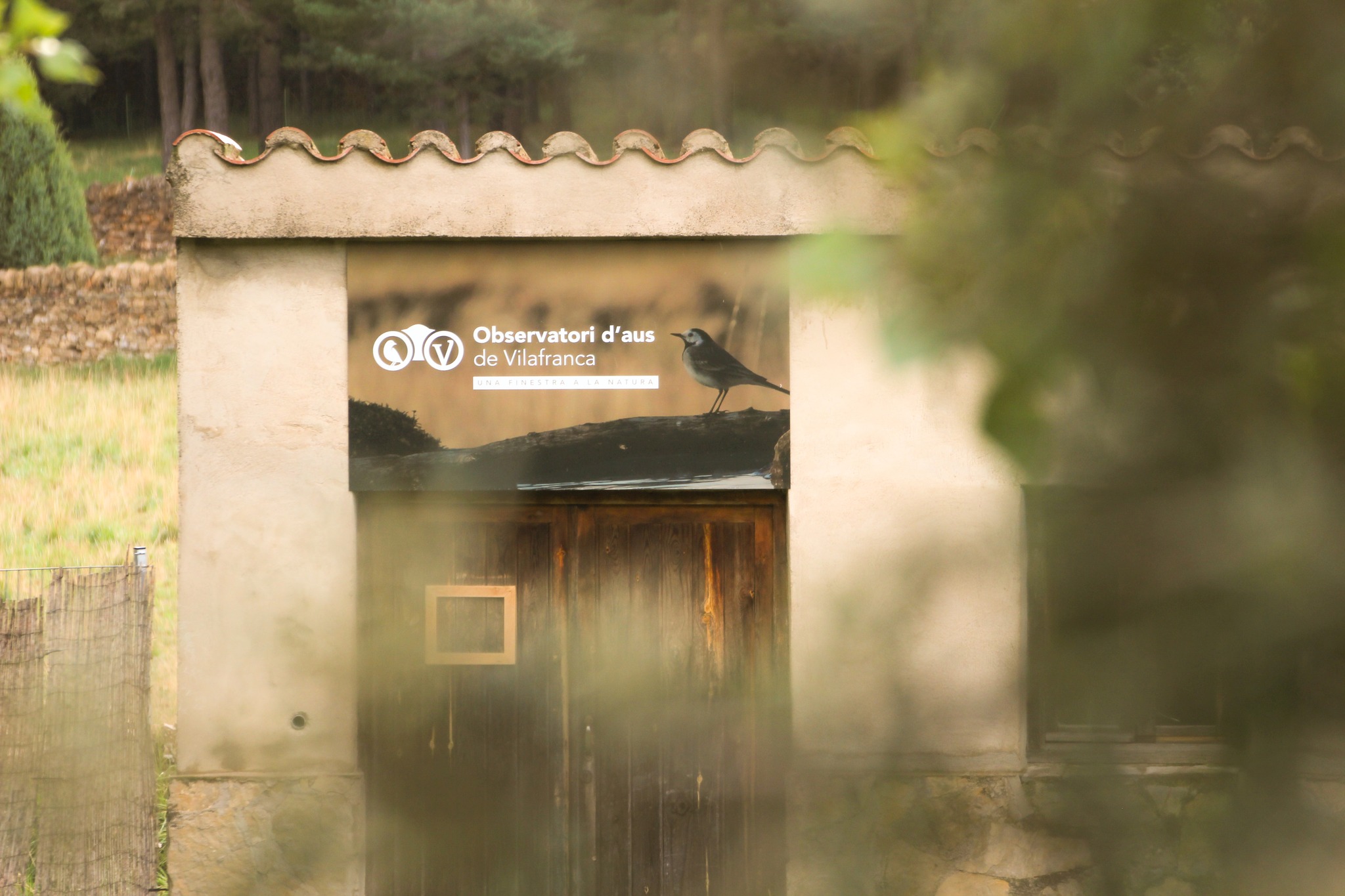 Ens encanta compartir moments ací, al nostre observatori d’aus 🐦
A l’hivern, Vilafranca canvia de ritme. El fred, el silenci i els paisatges més despullats fan que les aus també modifiquen els seus hàbits: algunes marxen, altres arriben, i moltes s’adapten a les noves condicions 🥶
Observar-les en aquesta època de l’any és una manera tranquil·la d’aprendre, d’esperar sense presses i de connectar amb la natura tal com és.
L’hivern també té vida… només cal parar atenció 👀
#laparreta #alberglaparreta #turismocastellón #vilafranca #turismevilafranca #elsports