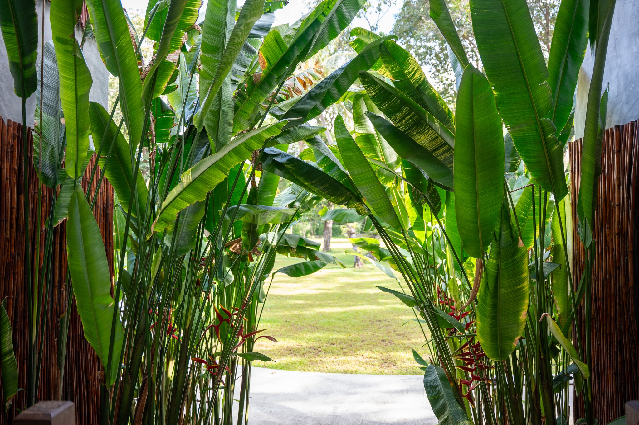 Long Beach Chalet... The kind of place that makes you forget what day it is🌴
Enjoy our best direct booking rates here! ➡️ link in bio
📞094 432 8889
📩info@longbeachchalet.net
🌐www.longbeachchalet.net