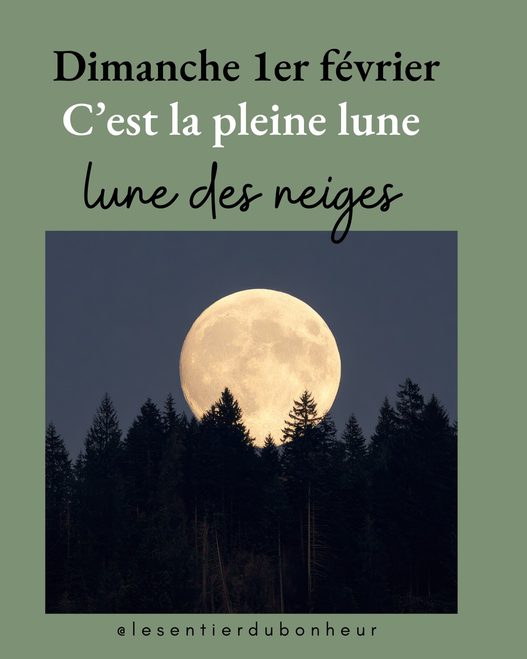 Pleine Lune en Lion du 1er février 2026
Pleine Lune des neiges
Une invitation à arrêter de te retenir.
Cette lune éclaire ce qui demande à être vu, assumé, reconnu.
Pas pour briller à tout prix, mais pour te respecter pleinement.
Quand tu te choisis avec honnêteté,
quand tu écoutes ce qui vibre vraiment en toi,
l’énergie circule à nouveau.
Prends ce temps pour ressentir :
ce que tu veux nourrir
ce que tu es prête à laisser partir
la place que tu oses enfin prendre
Et si tu en ressens l’appel, je t’accompagne avec un soin énergétique à distance, pour soutenir ce mouvement intérieur et t’aider à rayonner depuis un espace juste et aligné.
Lien en bio
L'article de blog est aussi disponible via le lien en bio ainsi que la réservation d'un soin plus complet sur le rééquilibrage des chakras.
Je te souhaite une magnifique Pleine Lune en Lion.
Avec joie
Mireille
#pleinelune #pleinelunelion #energie #rayonnementinterieur #chakras #soinenergetique #alignement #lacherprise #developpementpersonnel #spiritualite