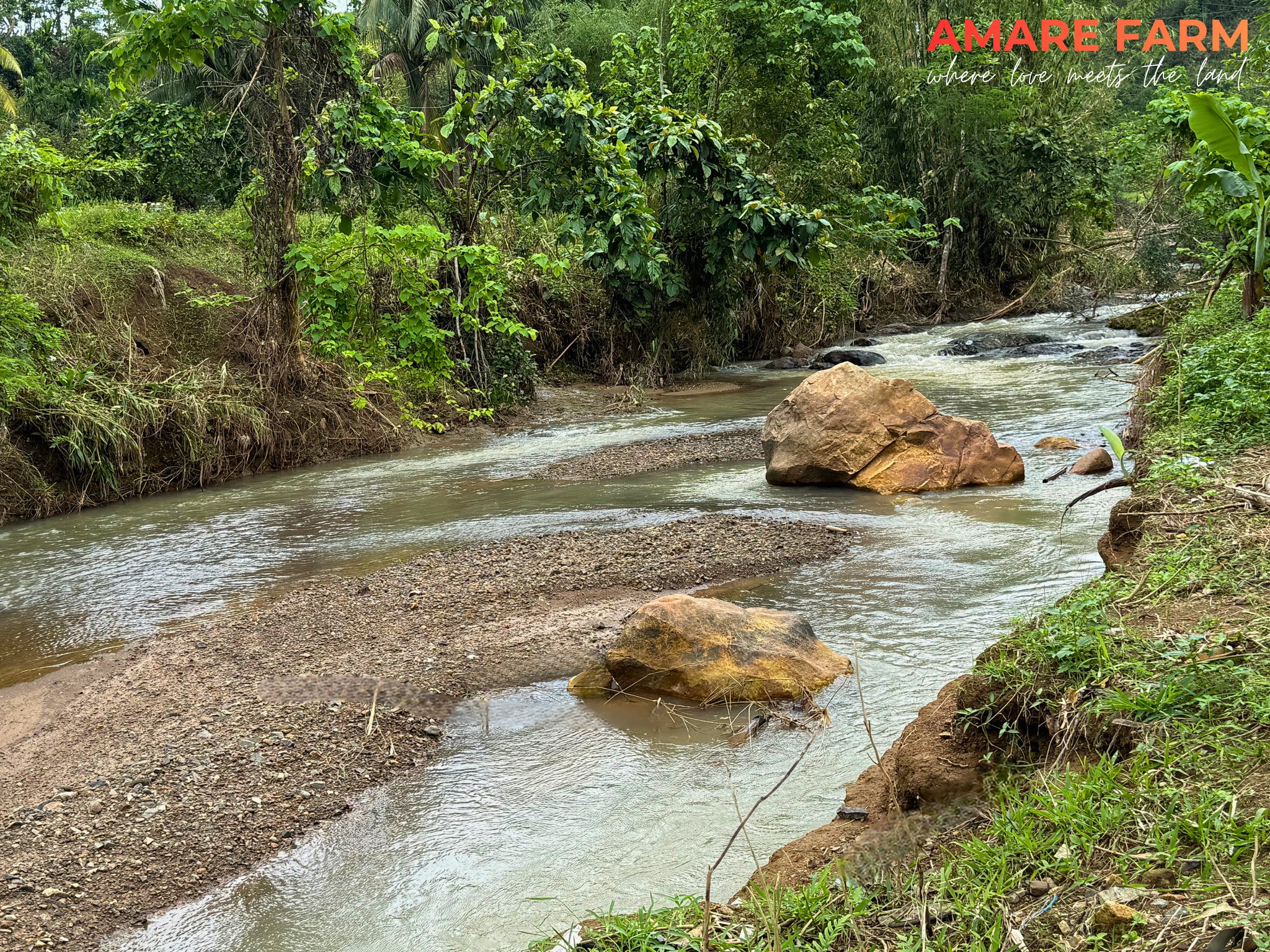 Every bend in the stream reminds us to slow down and let nature work πΏ
Amare Farm
#AmareFarm #FarmLife #NatureOnTheFarm #WhereLoveMeetsTheLand #NuevaVizcaya
