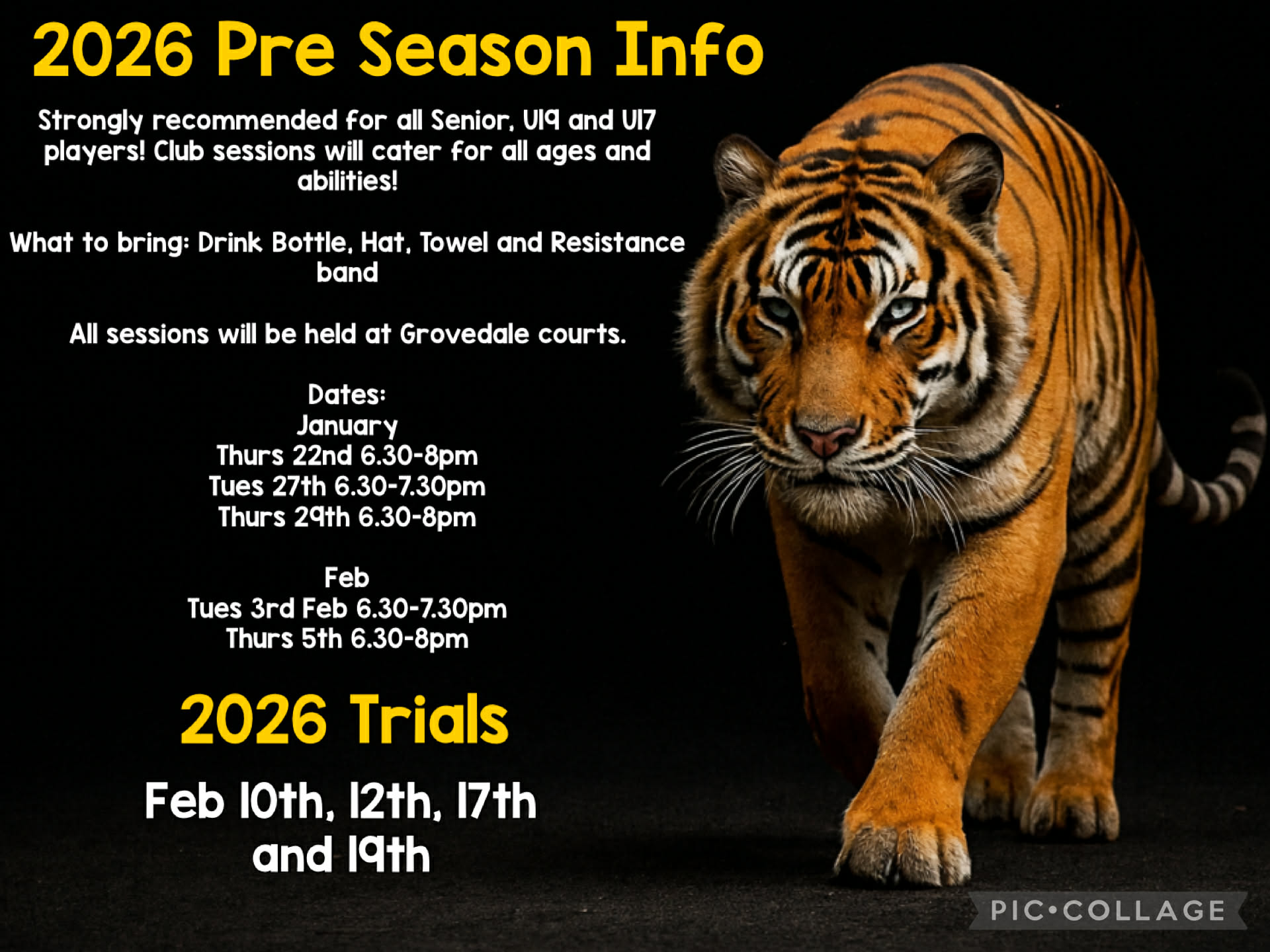 🏐💛🖤 SENIOR & U19s NETBALL TRIALS - Winter Season 2026 🖤💛🏐
It all starts tomorrow night!! Netball Preseason is back at Grovey. We hope to see you all there; new and past players are all welcome.
Please see the attached photo for the dates and times for the upcoming trials in February 2026.
Below is the link to register yourself in the Senior & U19 Trials.
https://netballtrials.com/register/senior-u19-grovedale-netball-trials-winter-se/
If you have any further questions regarding these trials or the Winter Season 2026, please forward us an email to grovedalenetball@gmail.com
Let's go Grovey 💛🖤