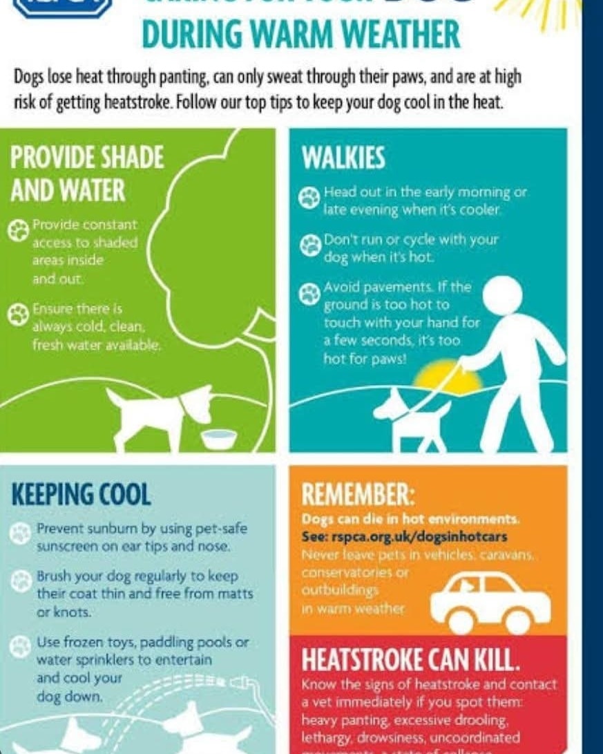 Over the coming week, temperatures will increase with Brisbane predictions around 37! This will impact your pets! Please please be mindful of your little ones. Keep them cool as best as you cat
๐ถ๐ธ๐ฅฐ๐ฆ๐ท๐๐