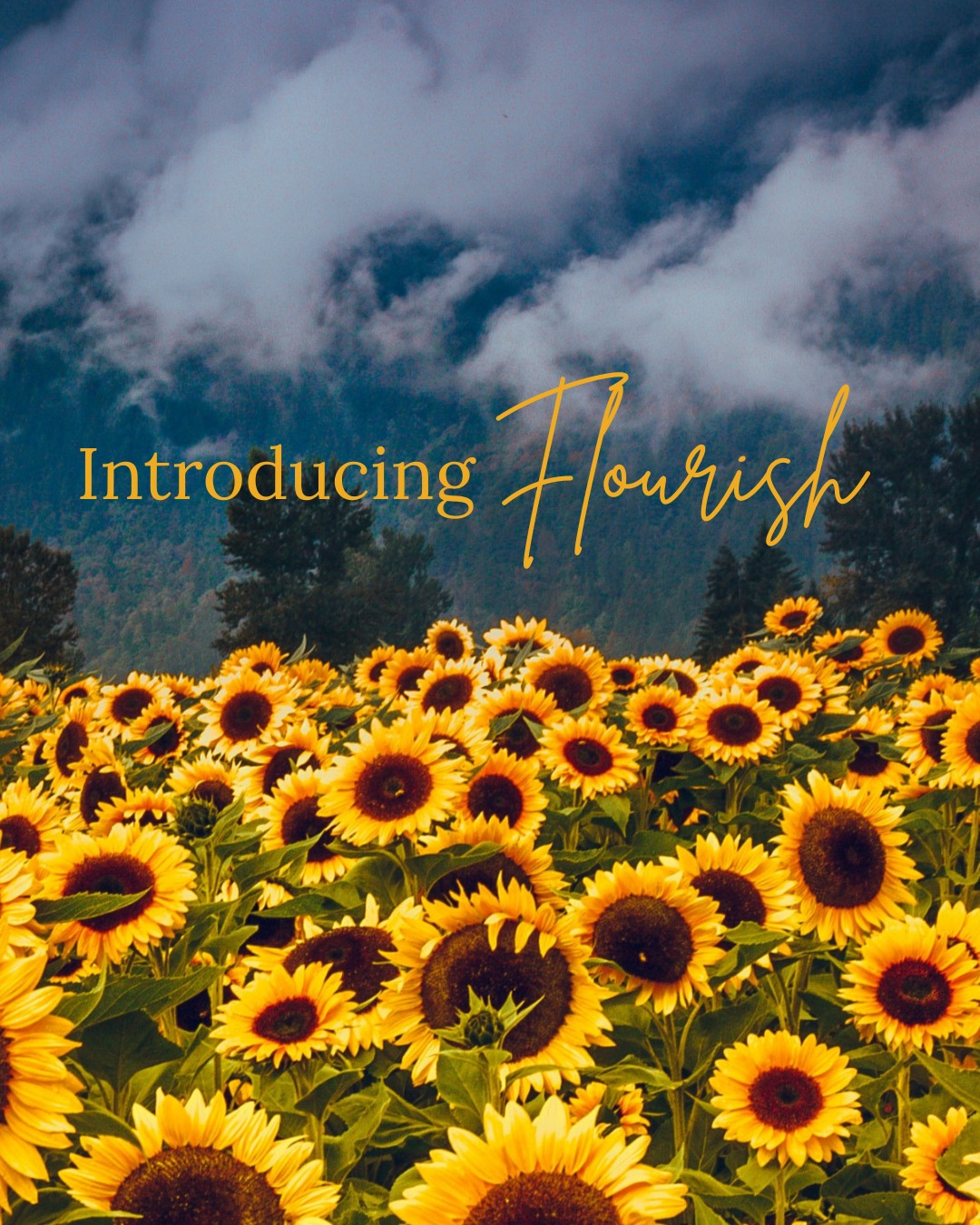 For healthcare and helping professionals:
When your work becomes everything — and there’s
almost nothing left for you.
Comment Flourish.
Save $444 on early bird pricing until Jan. 30th. Use promocode 'earlybird' at checkout.
#healthcare #naturopath #physician #nursepractitioner #nurses #accupuncturist #burnout #wellbeing #communitysupport #traumainformedcare