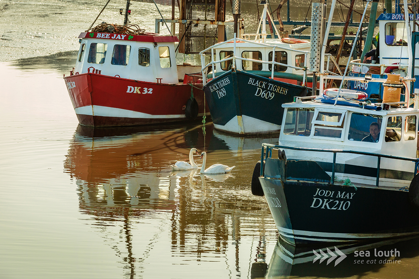 Did you know that Dundalk has not one but two churches dedicated to St Nicholas, the patron saint of sailors? ⛵️⛪️
One of these is the historic Church of Ireland St Nicholas, known locally as “the Green Church,” with parts of its structure dating back centuries and its spire once visible to sailors approaching Dundalk Bay. The other church named for St Nicholas stands nearby as a reminder of the town’s long maritime connections, reflecting how sea and faith have been intertwined here for generations 🌊✨
It’s one of those little local stories that beautifully highlights Dundalk’s relationship with the water, the craft of fishing and life by the coast. 😊
Find out more on www.sealouth.ie/dundalk-bay
#SeaLouth #IrelandsAncientEast #KeepDiscovering #See #Admire #Dundalk #LocalHeritage #History #MaritimeLouth #StNicholas #CoastalStorie
Credit Sealouth