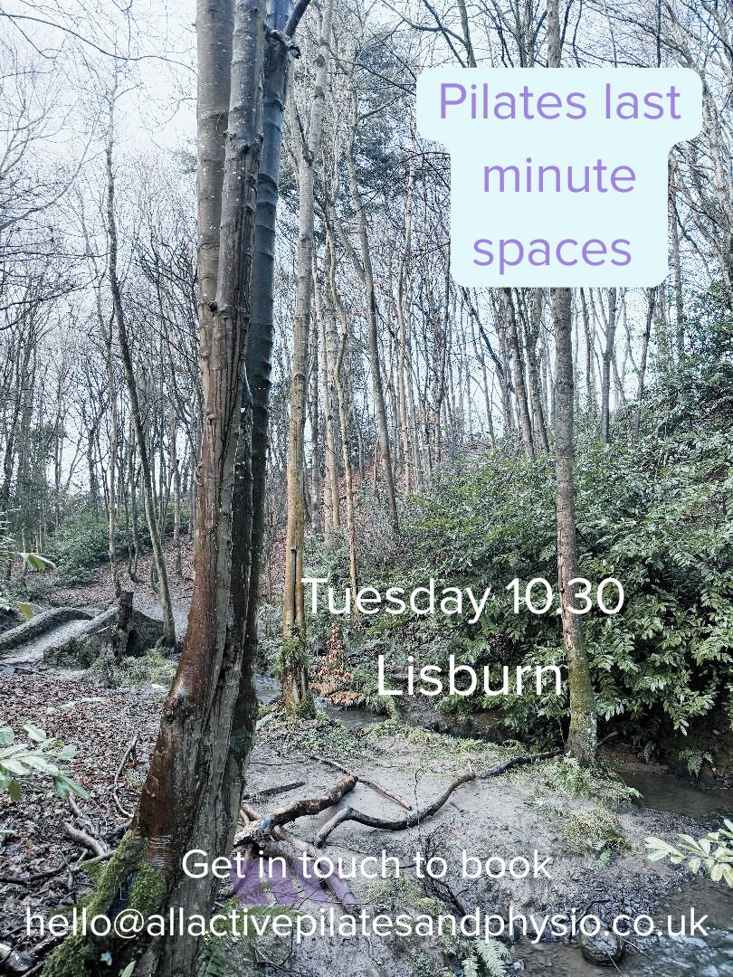 Spontaneous Pilates anyone ?
Your body will thank you - come move with us !