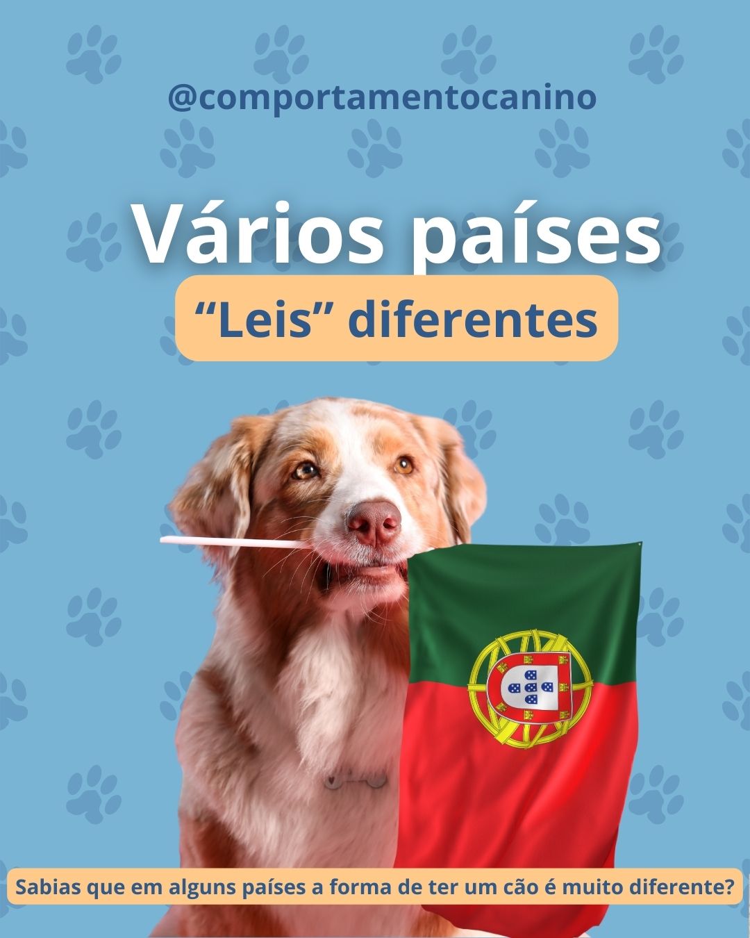 Sabias que a vida dos cães pode ser muito diferente de país para país? 🌍🐾
Enquanto em alguns locais como a Suíça os tutores pagam uma taxa anual por cada cão registado, noutros países há leis ou práticas que promovem ainda mais bem-estar e responsabilidade.
O objetivo destas regras é sempre o mesmo: proteger o bem-estar animal e fortalecer a relação entre cães e pessoas.
E tu, conheces outras leis ou curiosidades sobre a vida dos cães noutros países?
Deixa nos comentários! 👇🐶