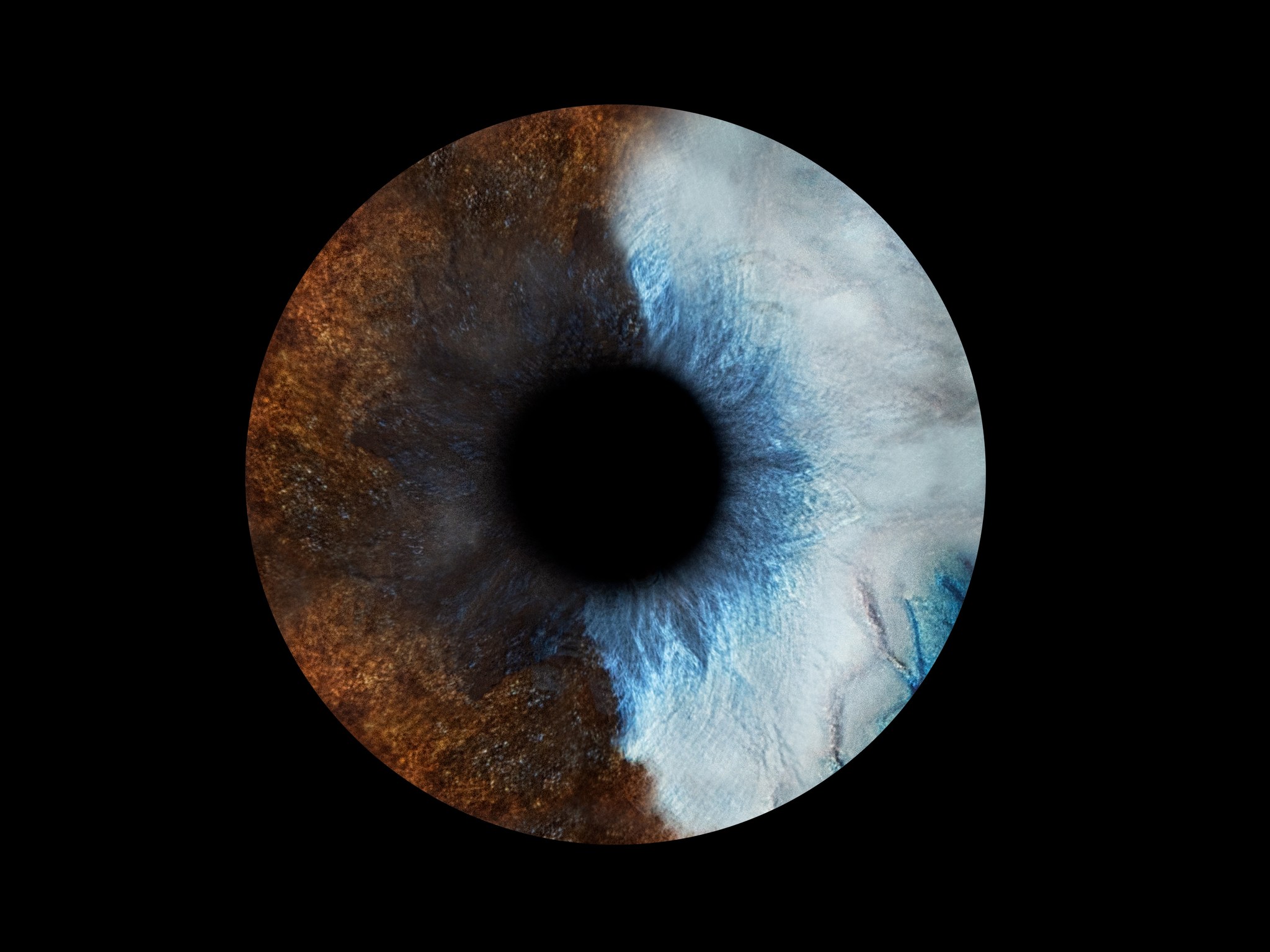 On se le fait souvent dire : les yeux de Tequila & Jalisco sont tout simplement magnifiques🤭🐾Alors, quand s'est présenté l'opportunité de photographier leurs iris, on a sauté sur l'occasion! Malgré le fait qu'on a deux petites tornades pleines d'énergie, ils ont réussis à capturer tous les détails dans leurs yeux ✨
Merci @artirisphoto pour cette belle expérience, on le recommande! 🤩
#irisphoto #chiensduquébec #chiensmignons #dogsoffacebook