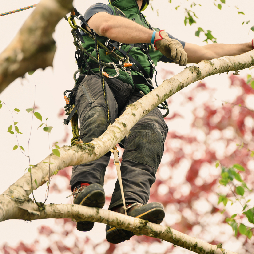 $29,00 fine highlights stakes under amended RMA! Make sure you check BEFORE you start work - read the full story via the link in comments.