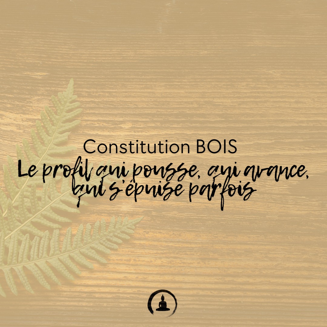 Constitution BOIS 🌳 – Le profil qui pousse, qui avance, qui s’épuise parfois
En Médecine Traditionnelle Chinoise, la constitution Bois est celle du mouvement, de la croissance, de la créativité.
On la reconnaît souvent à :�
✨ Un teint légèrement verdâtre�
✨ Un corps élancé, un dos raide�
✨ Un visage long, des yeux expressifs�
✨ Des mains noueuses, une posture tendue
Sur le plan intérieur, l’énergie Bois donne :�
✔️ créativité�
✔️ sens de la vision�
✔️ dynamisme�
✔️ capacité à rebondir
Mais en déséquilibre, elle amène aussi :�
⚠️ anxiété�
⚠️ agitation interne�
⚠️ fatigue nerveuse�
⚠️ digestion fragile
Les saisons difficiles pour le Bois ?�
🍂 Automne & ❄️ hiver�Et parfois… même le printemps, son propre territoire, peut l’épuiser : allergies, migraines, irritabilité, fatigue.
Les zones sensibles :�
• Foie – Vésicule biliaire�
• Digestion (colites, constipation, intolérances)�
• Endocrinien (tendance à l’hyperthyroïdie)
Le Bois aime :�
🍫 chocolat noir�
🍋 saveurs acides�
🌬 mouvement�
🧘♂️ respiration qui descend
💚 Le but du soin ?�
Détendre, assouplir, nourrir le Sang et apaiser le Foie.�Le Bois ne demande qu’une chose : retrouver sa souplesse.
📍 Zen Garden – Carouge (GE)
#MédecineChinoise #ConscienceDigestive #SantéHolistique #MangerEnConscience #ÉcouteDuCorps #MédecineÉnergétique #AlimentationConsciente #DigestionNaturelle #Qi #Fascias #RespectDuCorps #BienManger #SagesseDuCorps #SantéNaturelle #SoutienDigestif #TaoDeLaSanté #SantéPréventive #ÉquilibreIntérieur #AlimentationÉnergétique