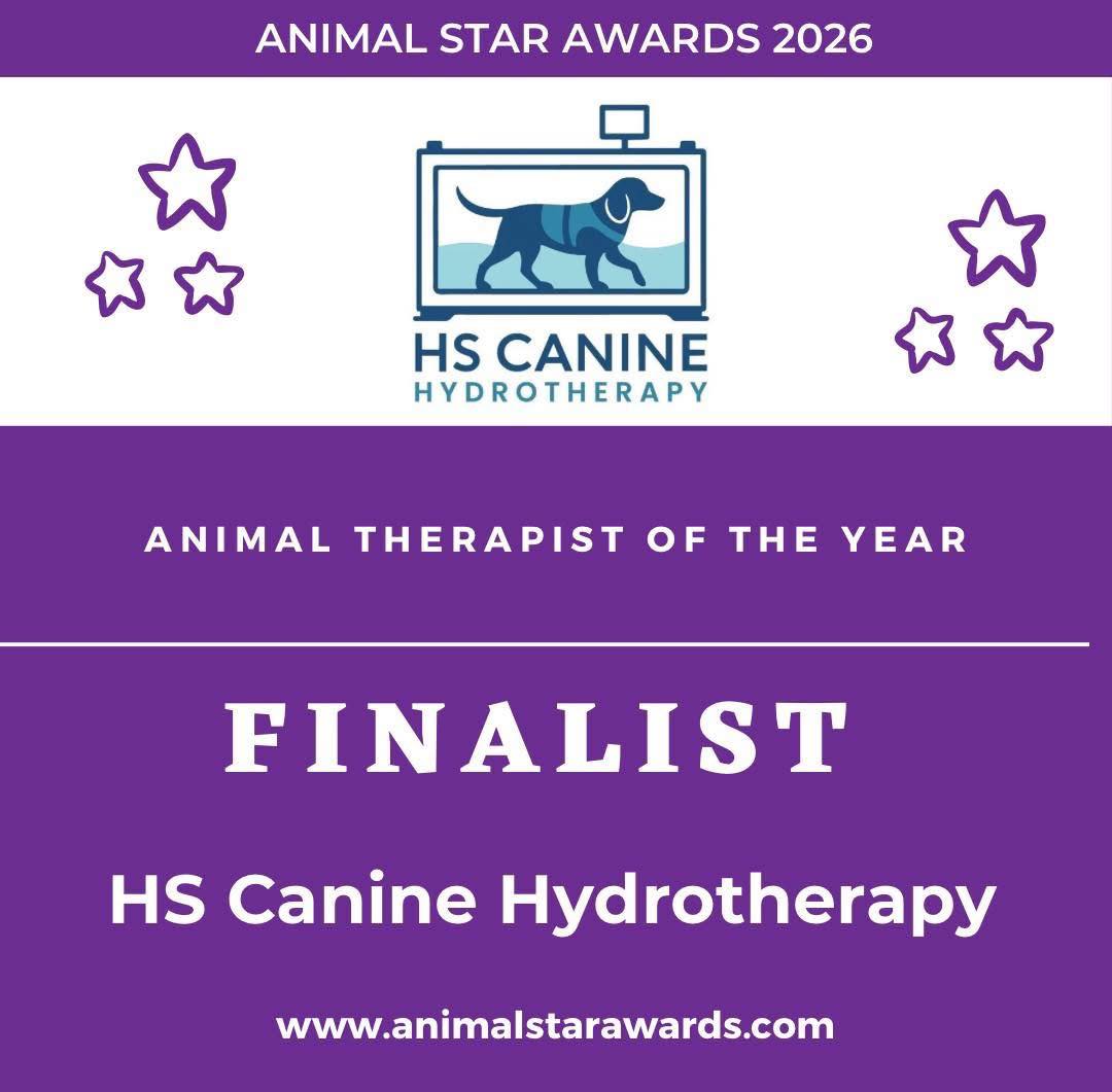 We’re feeling incredibly lucky and so proud to share that we are FINALISTS for Therapist of the Year at the Animal Star Awards 💙🐾
This wouldn’t be possible without the amazing support from all of you and your wonderful dogs and cats. Harvey, Cody and Sharon want to say a huge thank you to every single customer who trusts us with their pets and continues to support us every step of the way.🐾🐶 @animalstarawardsuk