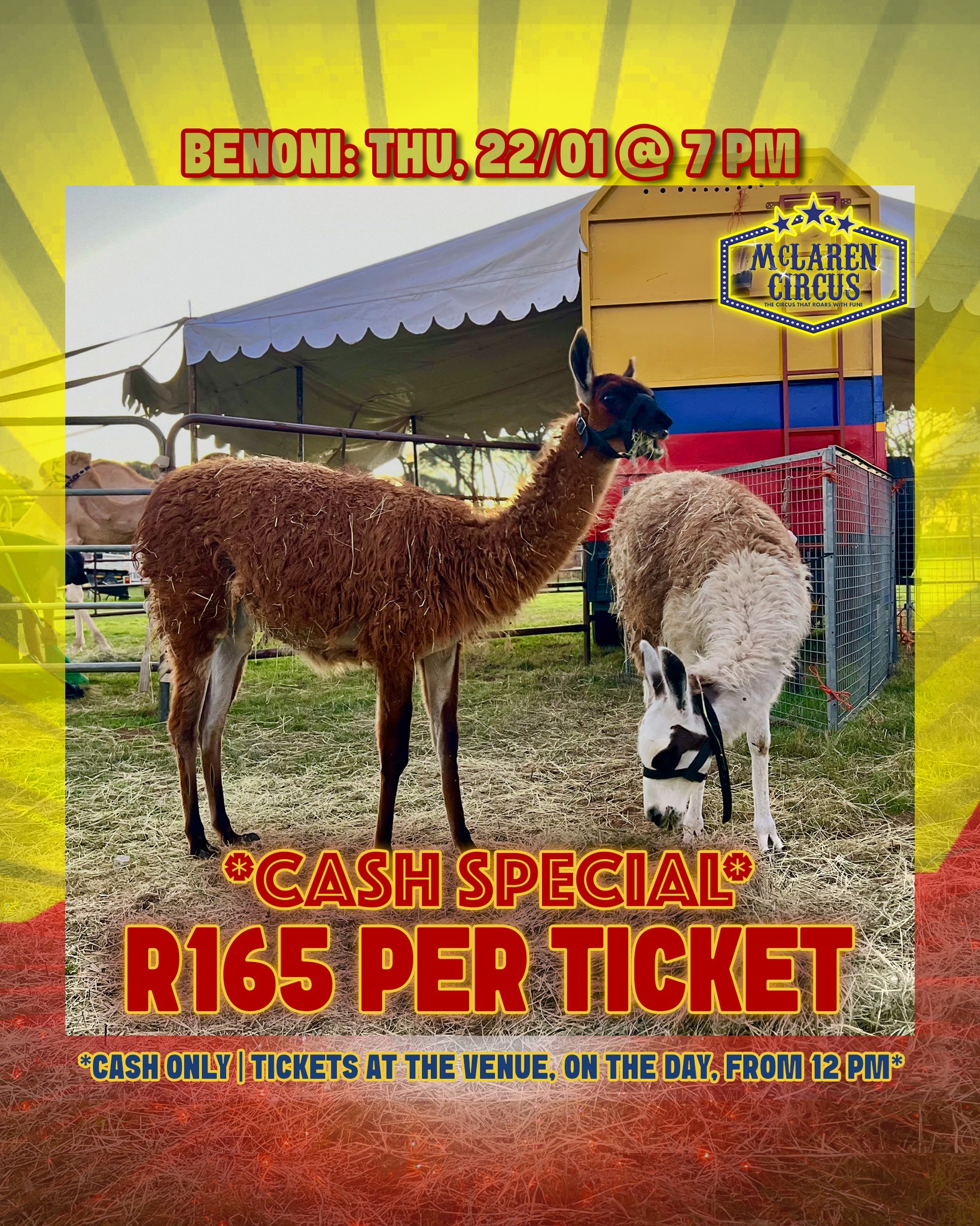 🤹♂️ SPECIAL: Any seat, only R165 each! 🎟️✨
🎪 Step right up to the greatest show in #Africa!
Only valid:
📅 Thu, 22 Jan 2026 @ 7 PM - #BENONI
🎟️ Hurry, these seats are unreserved and sell fast! Tickets are CASH ONLY and are available, at our ticket office, from 12 PM on the show day.