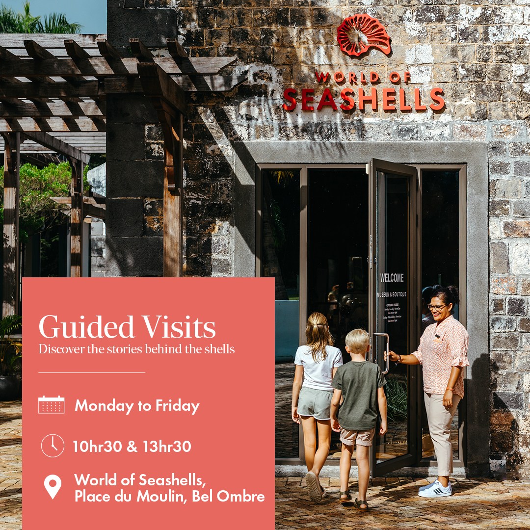 ๐๐ข๐ฌ๐๐จ๐ฏ๐๐ซ ๐ญ๐ก๐ ๐ฐ๐จ๐ง๐๐๐ซ๐ฌ ๐จ๐ ๐ญ๐ก๐ ๐จ๐๐๐๐ง ๐๐ญ ๐๐จ๐ซ๐ฅ๐ ๐จ๐ ๐๐๐๐ฌ๐ก๐๐ฅ๐ฅ๐ฌ ๐
Join our guided visits from Monday to Friday at 10:30 am and 1:30 pm and explore Africaโs largest seashells collection.
A fascinating experience for families and children alike, where learning meets discovery.
*Guided tours are included as part of your paid visit to World of Seashells.
#WorldOfSeashells #GuidedVisit #FamilyExperience #KidsFriendly #OceanWonders #ExploreMauritius #EducationalFun #seashellcollection
๐๐จ๐จ๐ค ๐๐จ๐ฐ:
โ: 623 7984
โ: reservations@worldofseashells.mu