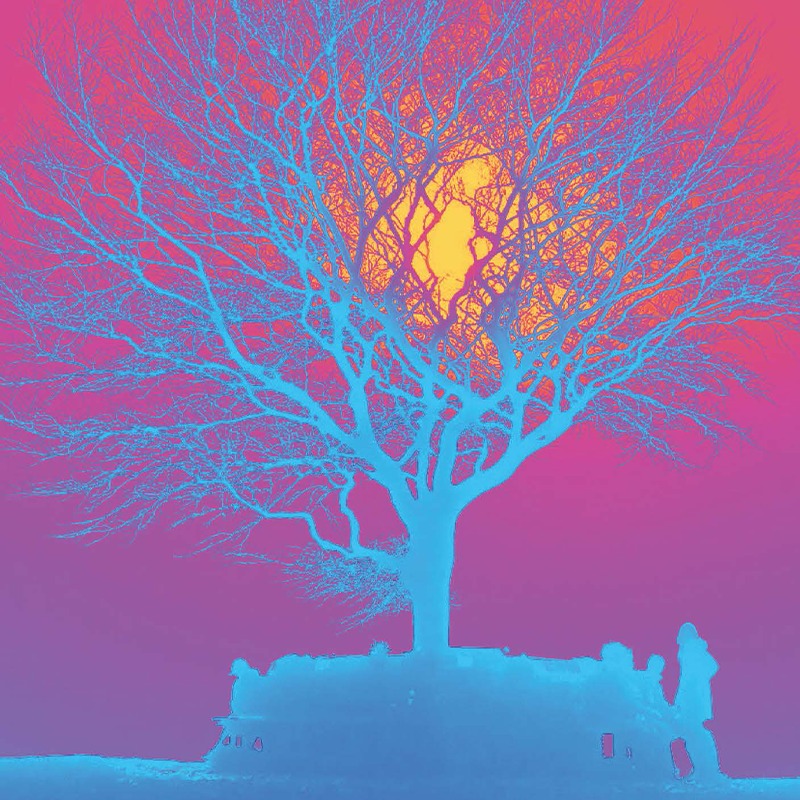 Gorgeous audience feedback for MACBETH/LADY/MACBETH
Tickets still available for tonight - book now!
“Life’s but a walking shadow”
I absolutely loved Macbeth/Lady/Macbeth by the fabulous Edward Derbyshire. He played what 6, 7 characters?
The lighting was clever, and some intriguing shadow-play drew us into the action and dialogue of the play, at times making me forget I was watching a one-man show. I loved the witches, portrayed by Derbyshire’s multiple, colourful shadows and a trio of mops! And the domestic symbolism followed the witches throughout with a dustbin cauldron and a very original idea of using keychains for the materials added to the spell.
The real treat came with the scenes with dialogue between Macbeth and Lady Macbeth. How Derbyshire kept track of all this is a masterclass, and this Gollum-esque performance was extremely impactful. It’s a genius way to suggest the split psyche between partners, the suggested subversion of personalities within gender roles, the outsourcing of resilience and emotional regulation.
Two highlights for me were getting to join Macbeth onstage in the banquet scene as one of the Thanes, where Derbyshire found an opportunity to switch the theatre into the-round.
Last but not least, Lady Macbeth’s sleepwalking scene, where she was portrayed scoffing an apple in a fascinatingly unladylike reference to Eve. Where else could we see this wonderful actor play Shakespeare’s indomitable tragic heroine? And he certainly made the most of the opportunity.
Bravo Edward! “My mind is full of scorpions” after delving into this classic again.
It’s on again tonight in Bristol, lovely quiet and safe area with street parking. Starts at 8pm, nice pub too!
https://www.tickettailor.com/.../almatheatrecompany/1917559