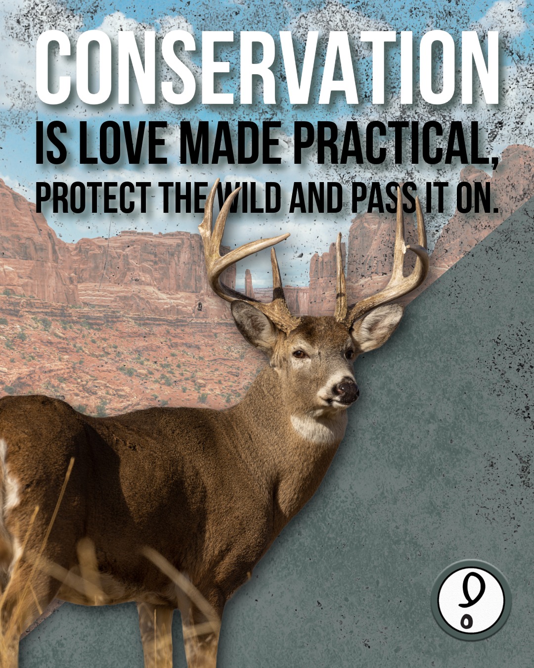 If you love the wild, conservation should come naturally. Protect our wild lands.
Want to know how to get your message out there? Get in touch: www.veracitydigitalmedia.com