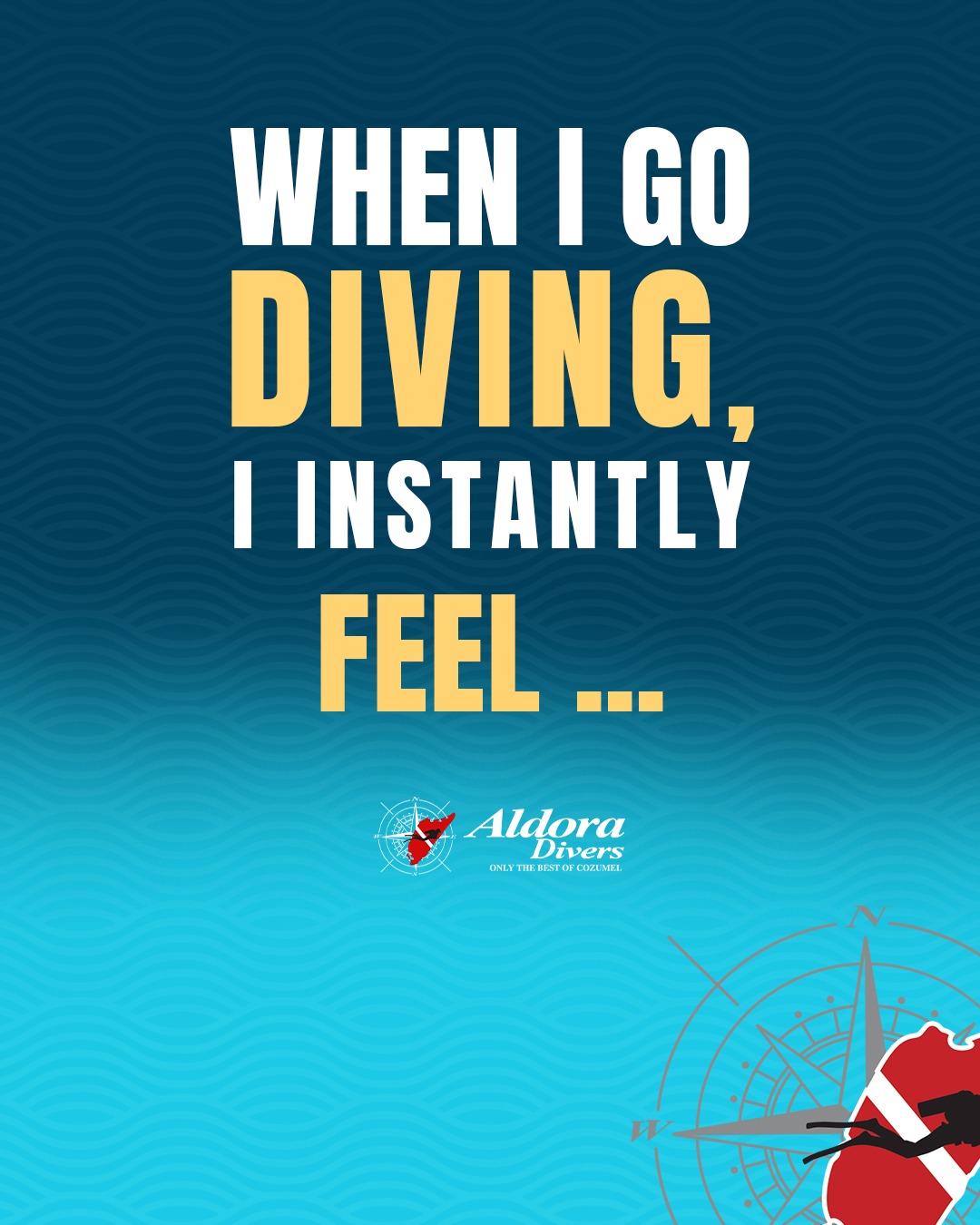 👇 Drop it in the comments.
🔁 Know someone who feels the same? SHARE this post with them.
#AldoraDivers #Cozumel #ScubaDiving #PADI #DiveAvelo