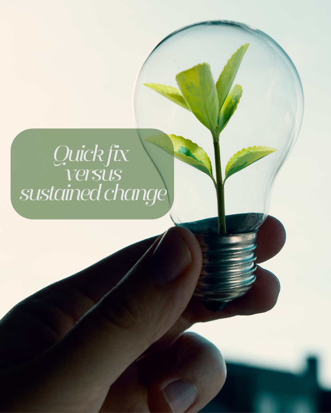 Quick fixes promise speed but sustained change builds long term health.
Quick fixes are like putting a plaster over a warning light — it might look better for a moment, but nothing underneath has been resolved. Sustained change is about lifting the bonnet and supporting the system properly.
If willpower has ever been the strategy, it’s not a personal failure — it’s a sign the body hasn’t been properly supported. Real progress happens when nutrition works with your biology, not against it.
There are no shortcuts to nourishing your body well. Personalised nutrition meets your metabolism where it is, restores stability, and equips your body to handle whatever life throws at it — stress, busy days, hormonal shifts, and everything in between — with greater resilience and ease.
If you’re ready to step away from quick fixes, let’s discuss how personalised nutrition can support your health challenges. Email me at hel#personalisednutrition.
#PersonalisedNutrition
#MetabolicBalance
#SustainableHealth
#HealthyHabits
#LifestyleChange
#HabitsOverHacks
#ConsistencyIsKey
#MidlifeWellness
#SlowAndSteady
#ChangeThatSticks