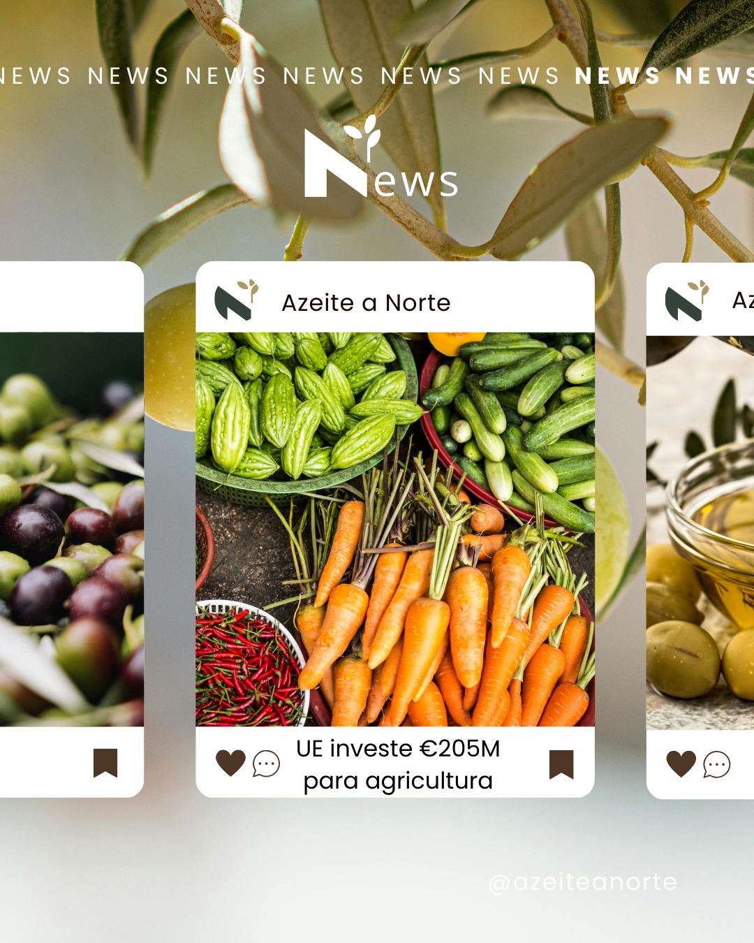 🌿A União Europeia vai investir 205 milhões de euros na promoção de produtos agrícolas sustentáveis e de alta qualidade — o maior investimento de sempre neste setor.
🫒 Entre os produtos beneficiados está o azeite europeu, pilar da Dieta Mediterrânica e símbolo de territórios como Trás-os-Montes e Alto Douro, onde a tradição olivícola atravessa gerações.
Este apoio representa uma oportunidade única para:
✨ Valorizar produtos DOP
🌍 Conquistar novos mercados internacionais
🌱 Reforçar práticas agrícolas sustentáveis
O futuro do azeite europeu constrói-se com identidade, território e reconhecimento global.
👉 Lê a notícia completa no nosso blog
#EuropeanUnion #SustainableAgriculture #EuropeanOliveOil #PortugueseOliveOil #PDOProducts #TrasOsMontes #AltoDouro #AgriFoodPromotion #EuropeanCommission #OliveFarming #MediterraneanDiet #EuropeanQuality #EuropeanAgriculture #Sustainability #OliveOil