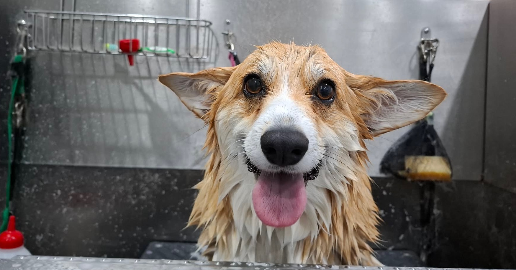Proof that bath time isnโt all that bad! ๐
Look at this smiling face ๐
