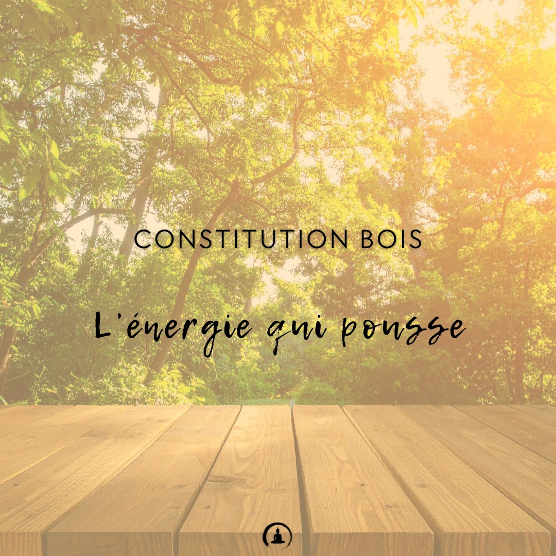 CONSTITUTION BOIS – L’énergie qui pousse
