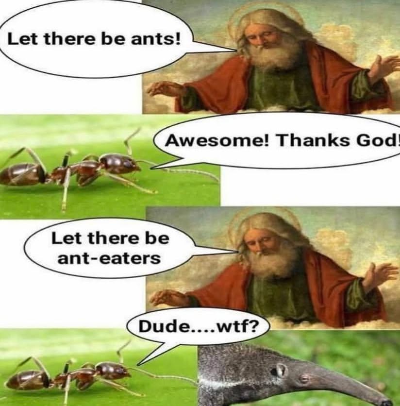 😂
From @dankdumplingdude