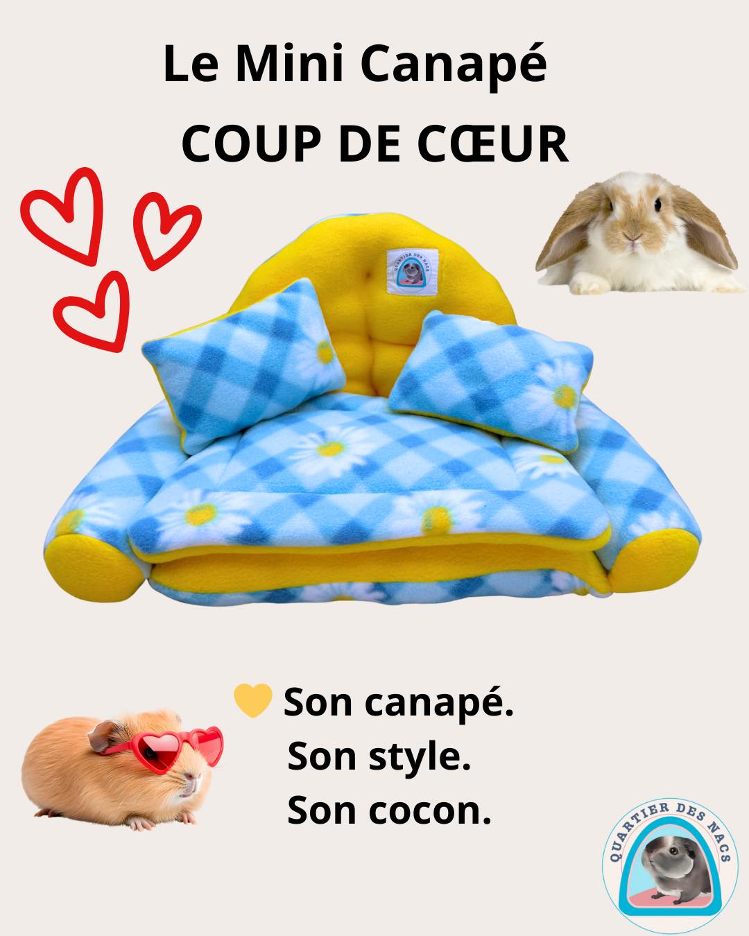 🛋️ Mini Canapé SUR MESURE
Parce que ton animal mérite un couchage aussi unique que lui 🤍
Le Mini Canapé sur mesure est pensé pour les cochons d’Inde, lapins nains et petits rongeurs qui aiment avoir leur propre espace.
✔ Tissu extérieur au choix : polaire imprimée ou coton imprimé
✔ Intérieur en polaire uni ultra doux
✔ Deux petits oreillers pour poser la tête
✔ Coussin en option (ouatine seule ou avec absorbant classique)
✔ Réversible
✔ Fabrication artisanale
Un mini canapé confortable, élégant et entièrement personnalisable, créé à la commande dans notre atelier ✨
👉 Personnalisation disponible sur la boutique
Prenez soin de vos animaux avec Quartier Des Nacs 🐾
#accessoireanimaux #cochon #cochondinde #lapinou #bienetreanimal❤️ #chinchilla #cochondinde