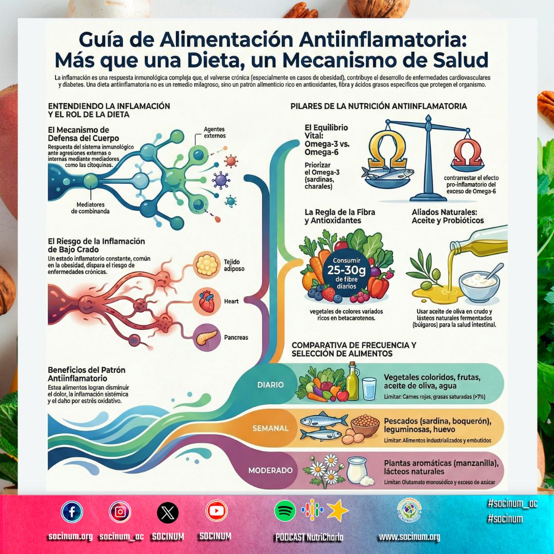 Inflamación de Bajo Grado: El Enemigo Silencioso en la Clínica 🛡️
La inflamación crónica no es solo una respuesta inmunológica; es el motor detrás de las enfermedades metabólicas y cardiovasculares actuales. Como profesionales de la salud, entender el patrón antiinflamatorio es pasar de una recomendación dietética simple a una intervención terapéutica de precisión.
Mecanismos y Pilares Metabólicos 🧬
Balance Ácidos Grasos: Priorizar el aporte de Omega-3 (sardinas, boquerón) para contrarrestar el ratio pro-inflamatorio del exceso de Omega-6.
Salud Intestinal: El uso de aceite de oliva en crudo y lácteos fermentados refuerza la barrera intestinal, limitando la respuesta sistémica de las citoquinas.
Densidad Nutricional: Una ingesta de 25-30g de fibra diaria junto con betacarotenos es fundamental para mitigar el estrés oxidativo.
Estrategia de Prescripción Diaria 🥗
Uso Diario: Vegetales coloridos, frutas y grasas monoinsaturadas (AOVE). Limitar grasas saturadas a <7%.
Frecuencia Semanal: Leguminosas, huevo y pescados grasos de talla pequeña. Evitar ultraprocesados y embutidos.
Control de Aditivos: Moderar el consumo de azúcares y glutamato monosódico para evitar picos de inflamación postprandial.
La dietética antiinflamatoria no es un remedio temporal, es un mecanismo de salud que disminuye el dolor sistémico y optimiza la función metabólica de nuestros pacientes.
#NutriciónClínica #Inmunonutrición #SaludMetabólica #NutriciónFuncional #EvidenciaCientífica #SOCINUM #AntiInflammatoryDiet
¡No te quedes atrás y sigue actualizándote! La ciencia de la nutrición evoluciona constantemente. En SOCINUM AC te invitamos a formar parte de nuestros próximos talleres y eventos para dominar las herramientas más recientes en el área clínica.
Visita nuestro sitio: www.socinum.org Síguenos