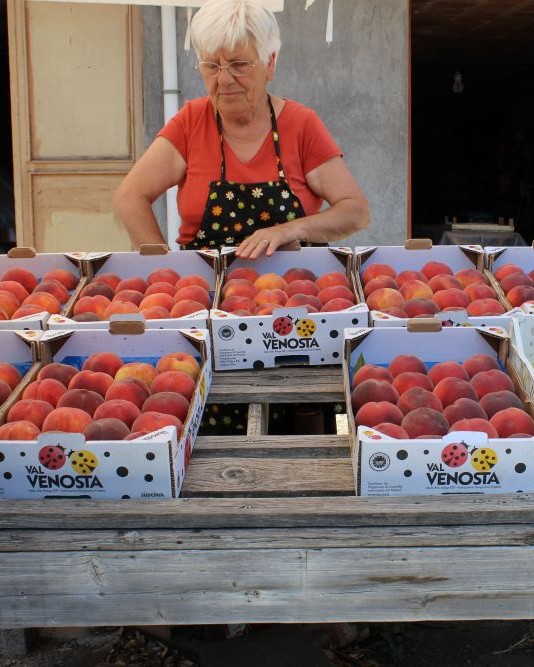She runs the stand. Knows the fruit. Watches everything.
Best of all, we stumbled across her driving down the road.