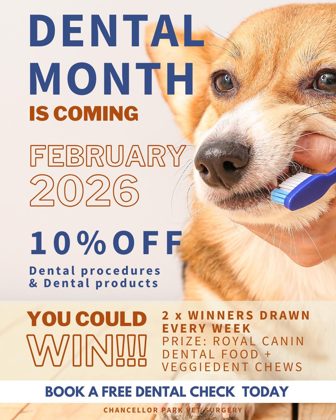 Book your dog or cat in for a dental appointment this February to receive 10% off their procedure!You will also go in the draw to WIN one of our eight prize packs that are up for grabs! There are two to be won each week. Call the clinic on 5445 5288 to secure your spot today!