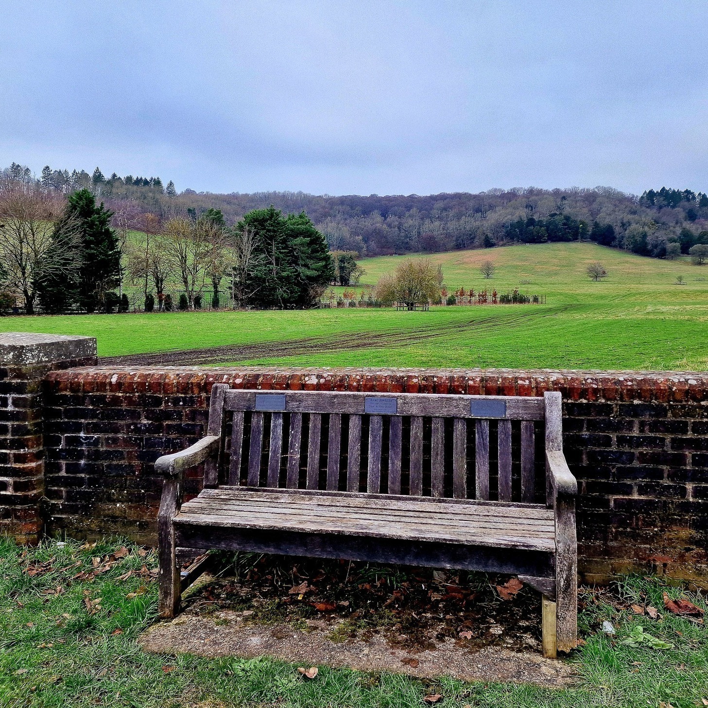 Quando cammino nella campagna inglese, mi capita spesso di imbattermi in panchine di legno con piccole targhe incise.
In Inghilterra è una tradizione donare una panchina in memoria di una persona cara che non c'è più.
Ogni panchina racconta una storia, custodisce un nome e a volte persino una dedica così dolce da commuovere. Una volta ne ho trovata addirittura una dedicata ad un gatto! Meravigliosa.
E' un gesto semplice, ma pieno di significato e mi piace così tanto che voglio farlo anch'io!
E a voi piacerebbe dedicare una panchina a una persona speciale? E cosa scrivereste?
#passionecampagnainglese #panchineconstorie #memorybenches #memorybenchforourlovedones
#ricordicherestano #storiedivita #englishtradition #UKVibes #condividiunricordo