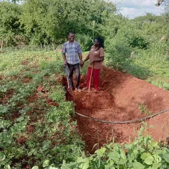Florence Njeri from Marimanti, Kenya, is a mother of four girls, and she is the Secretary of Kanini Keega Self-Help Group. In 2025, she borrowed Ksh. 4,300 ($33 USD) from the Group Saving and Loaning (GS&L), supported by SIA through Grant Partner @RIDEP. Florence and her husband, Elphas Muranga, a construction engineer, agreed to use the money to establish an organic garden - a small demo farm of maize and vegetables. They have also utilized their training on water holding structures to retain water and control soil erosion at their farm.
As a family, they have been able to eat some of the produce, sell some of it, and repay the loan to the group. The total amount they have earned is Ksh 15,000 ($116 USD), which was used to pay their daughter's Grade 6 school fees. Apart from the financial benefit, Florence shares that she and her husband are closer to each other, as they take time to walk around the garden together.
"I wish to thank RIDEP and those who support them for supporting me and my group members. My husband understands my work more, and the entire family and I have also benefited. During the dry spell, we used to experience some lack of food. This time round, we did not feel it. Instead, even our neighbors thank us for selling the green maize and vegetables," shares Florence. She and her husband will continue to be part of this program in 2026.
