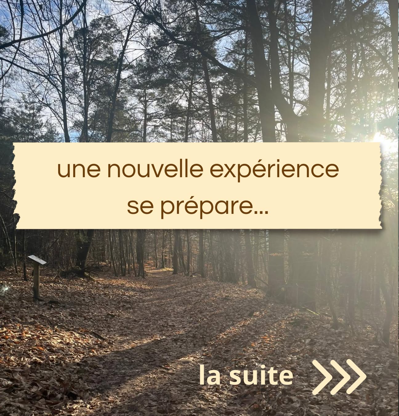 🍷🌲
Une nouvelle façon de découvrir le vin arrive très bientôt.
Marcher en forêt, s’arrêter, déguster, réfléchir, échanger.
Des expériences en petit groupe, entre randonnée, dégustation et jeu, accompagnées de produits locaux sélectionnés.
📍 Alsace
👣 Groupes limités
📅 Dates annoncées très prochainement
👉 Ça vous intrigue ?
#Vin #Caviste #Degustation #RandonnéeGourmande #NatureEtVin #ExperienceUnique #MomentGourmand #DecouverteLocale