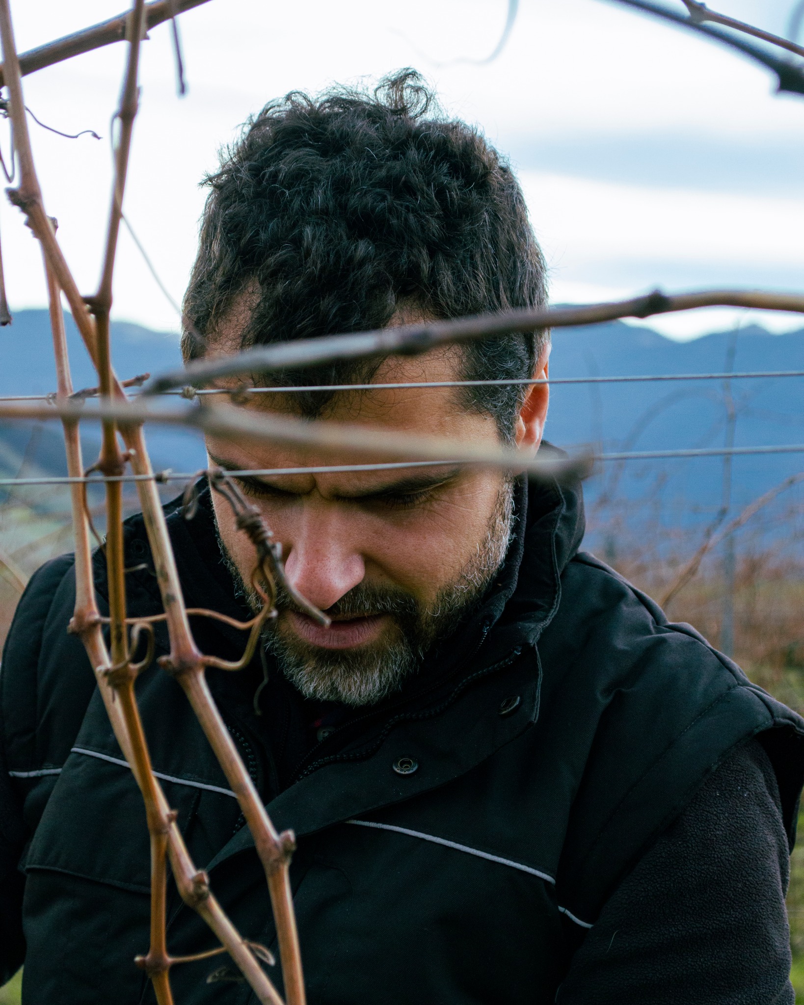 ✂️ Oggi si decide il futuro.
Con la potatura a secco si traccia il destino della pianta e si definisce il piano enologico dell’intera annata.
Qui a Borgo Paglianetto ogni gesto conta:
🌿 tutto viene fatto a mano,
🌱 nel pieno rispetto dell’equilibrio della vite,
🍷 perché la qualità del vino nasce prima di tutto in vigna.
È proprio qui che inizia la pre-selezione dei nostri vini migliori.
Il nostro wine maker Francesco, insieme al suo team, scende in campo e, attraverso la potatura Guyot, regola carico produttivo, vigoria e armonia della pianta.
Un lavoro silenzioso, preciso, fondamentale.
Perché grandi vini nascono da scelte consapevoli. ✨
✂️ Today, the future is decided.
With winter pruning, we shape the life of the vine and define the winemaking vision for the entire year.
At Borgo Paglianetto, every action matters:
🌿 all work is done by hand,
🌱 respecting the natural balance of the vine,
🍷 because wine quality is born in the vineyard.
This is where the first selection of our finest wines begins.
Our head winemaker Francesco, together with his team, works in the field using the Guyot pruning system, carefully managing yield, vigor, and plant balance.
A quiet, precise, essential task.
Because great wines start with thoughtful choices. ✨
#Vineyard #Pruning #GuyotSystem #Viticulture #BorgoPaglianetto #QualityWine #Winemaking #Terroir #Handcrafted #Vigna #Potatura #Guyot #Viticoltura #BorgoPaglianetto #VinoDiQualità #WineMaking #Terroir #Manualità
