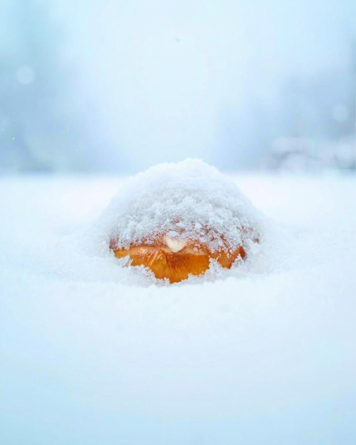 If it’s snowing, it’s bun season 🌀
#canadianowned #shoplocal #eatwell #cinnamonrolls #cinnamon #icing #freshbaked #naturalfood #cinnamonbuns #sweettooth #naturalfood #decadent