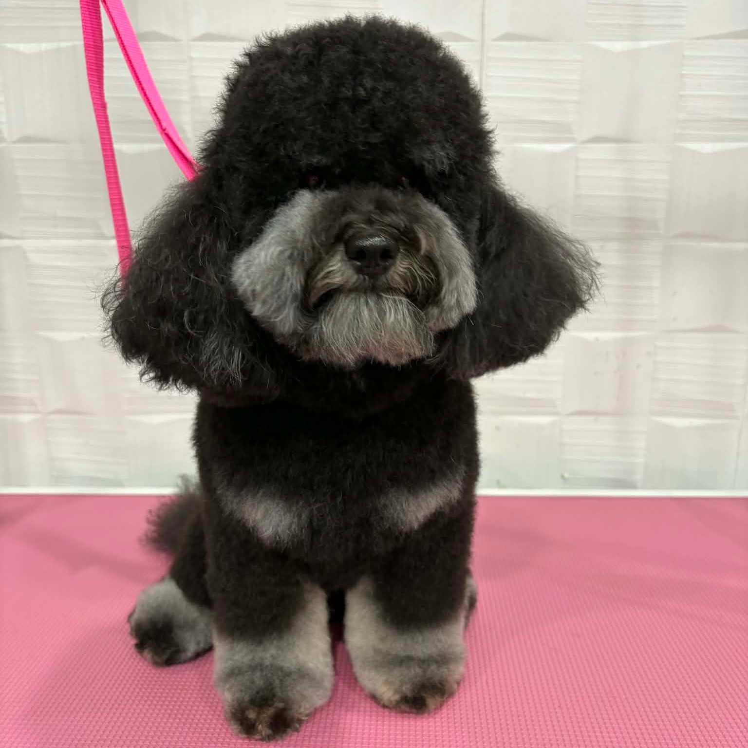 Gentleman status: activated. Swipe right for this glow up ๐