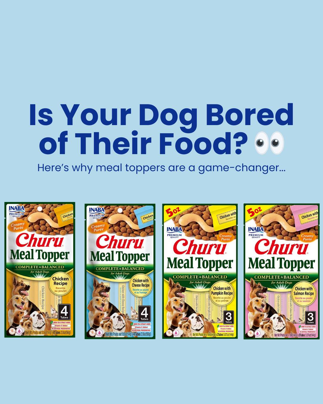 Is your dog bored of their food? đ
Meal toppers might be the glow-up their bowl needs.
Churu Meal Toppers add extra flavour, moisture and nutrition to everyday meals - perfect for picky eaters, dry food diets, older dogs, or pups who need a little extra encouragement at mealtime đŸ
From added hydration to quality protein and variety, itâs a small change that can make a big difference.
âš More flavour
âš More moisture
âš More excitement at mealtime
Ready to upgrade your dogâs bowl?
đ Try Churu Meal Toppers today.
#Churu #InabaChuru #MealToppers #DogNutrition