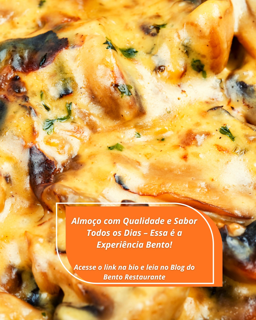 No Bento, o almoço tem intenção 🍽️
Curadoria diária, sabores que acolhem e um cardápio que transita entre o tradicional e o fit, sempre com qualidade e cuidado.
Vem viver essa experiência com a gente 💛
#BentoRestaurante #ComerBem #AlmoçoComPropósito #GastronomiaGoiana #TradicionalEFit #BuffetDeQualidade #AlmoçoPerfeito