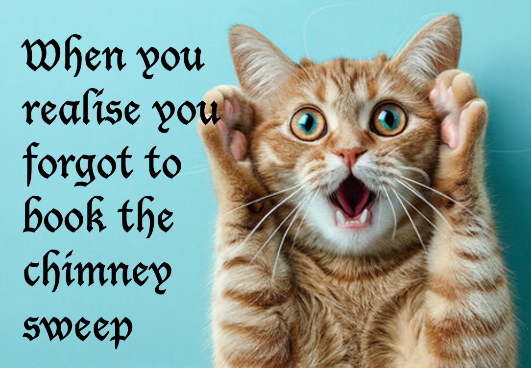 📞 01366 728342 📞