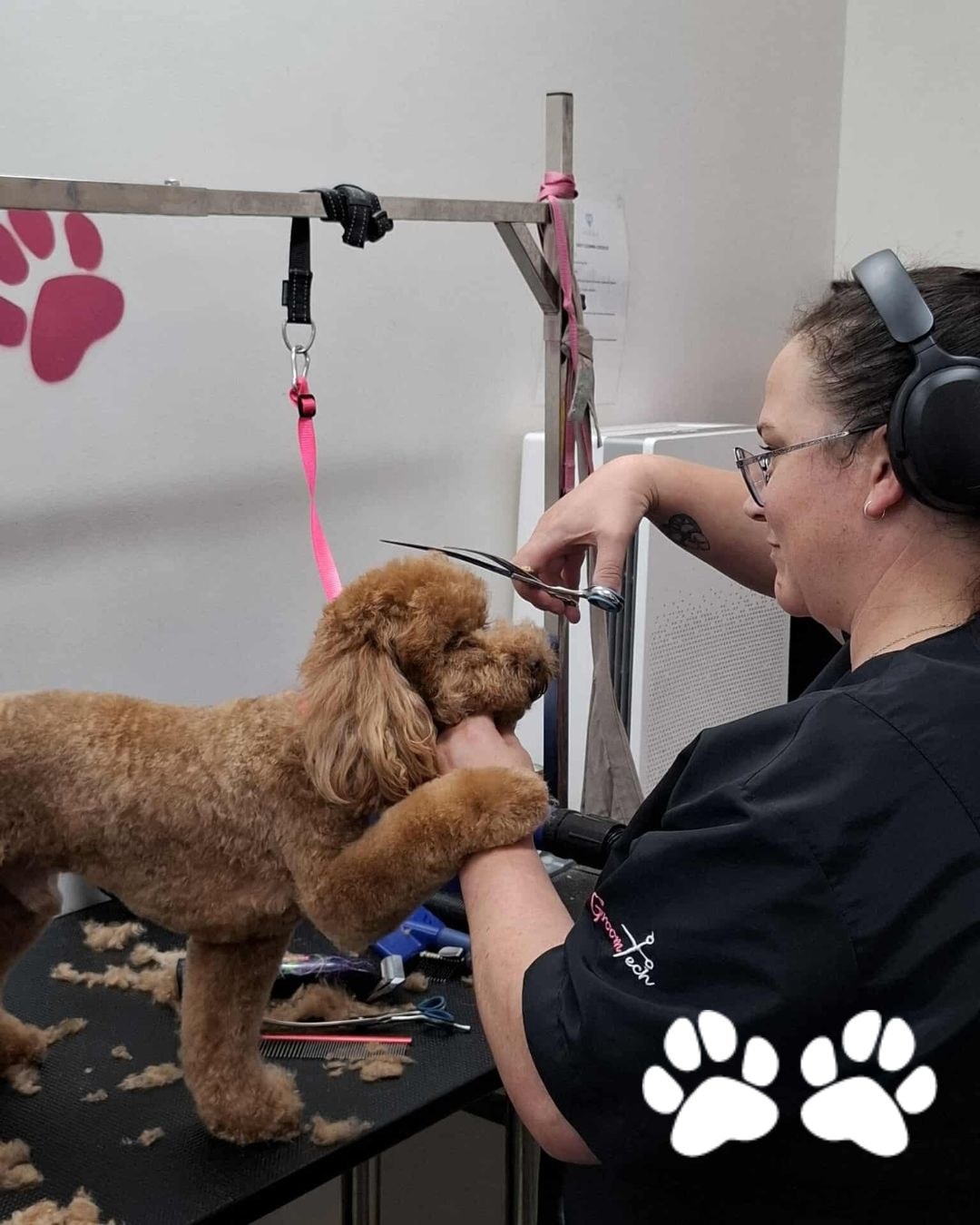 There's something really cute and special about a pup putting their paw on you like this during a grooming session 😍🥰💙🐾