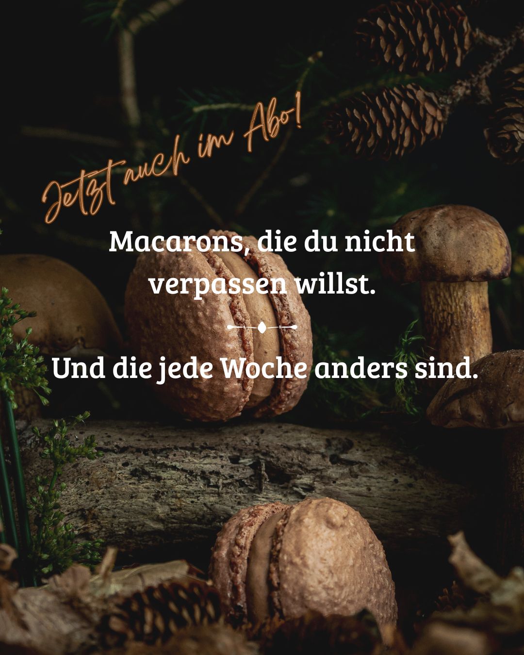 🤍 Ab jetzt auch im Onlineshop erhältlich.
Eure Macaron-Favoriten gibt es jetzt ganz unkompliziert
🛒 per Click & Collect im Onlineshop www.itisacake.de zu bestellen.
Wählt zwischen
▫️ 4er-Box oder 12er-Box
▫️ fruchtig
▫️ nussig & schokoladig
▫️ gemischt
✨ Neu: Macarons gibt es jetzt auch im Abo.
Für echte Fans, Genießer und Entdecker,
die keine Sorte verpassen möchten.
🎁 Auch ideal zum Verschenken:
einfach online bestellen, bezahlen
und regelmäßig Genuss abholen.
Klickt euch rein, bestellt eure Box
und verpasst nie wieder eine Sorte.
Eure Julia 🤍
#macarons #macaronabo #clickandcollect
#genussbox #dessertliebe #schleswigholstein
#itzehoe #heiligenstedten #itsacake #heideinholstein #büsum #brunsbüttel