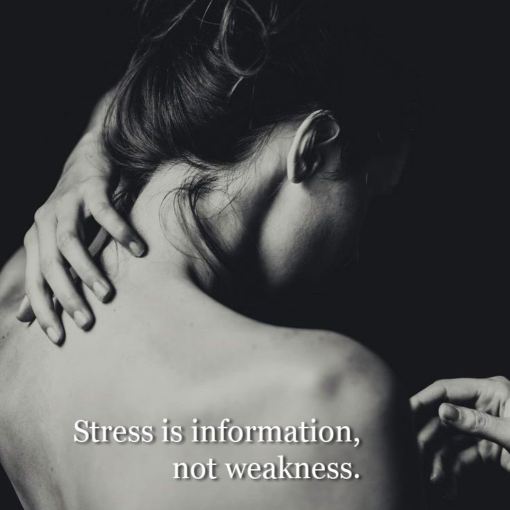 Stress is not a moral failing.
It is a physiological signal.
Chronic stress shows up as tight shoulders, racing thoughts, digestive disruption, restless sleep.
It signals that the system cannot relax, not that you are weak.
The first response is not action or force.
It is regulation.
Calming the nervous system allows repair and natural response.
Where might your system need regulation today?
