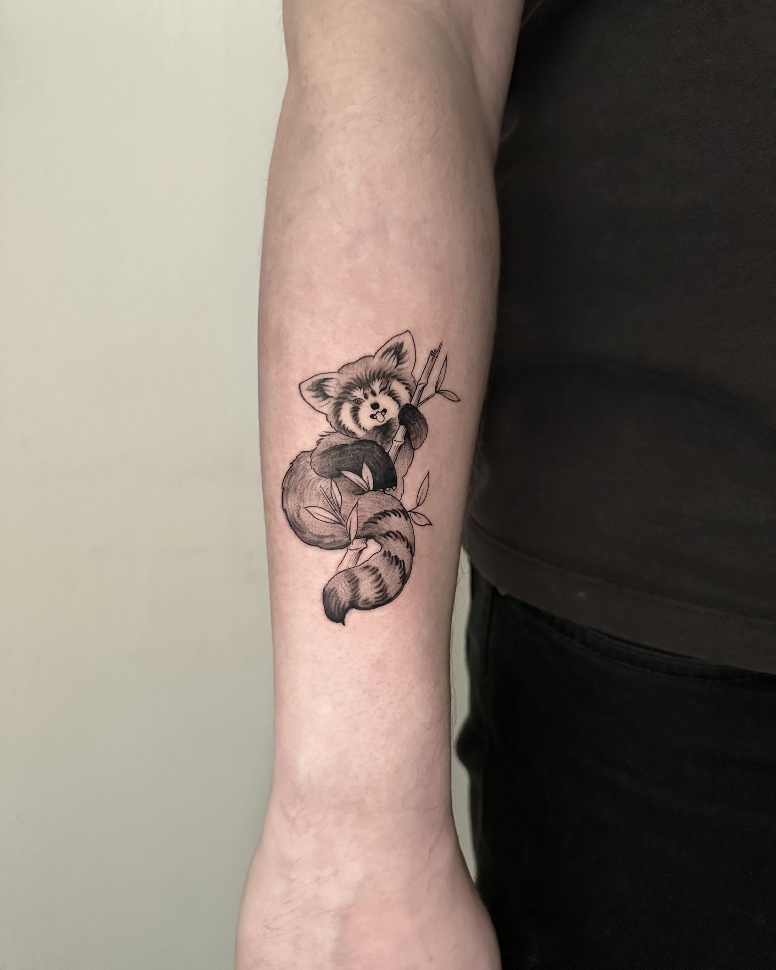 Gentle tattoos for gentle souls 🤍
A pair of red pandas, calm, playful, and full of character — designed to feel timeless, cozy, and personal.
Done at @thelostoasistattoo
Winter is perfect for small-to-medium tattoos: better healing, less sun exposure, and a warm studio atmosphere while you treat yourself ❄️✨
You deserve something just for you.
✨ Want ink like this? 👉 DM @ninkeartsy or email tattooninkeartsy@gmail.com
to book your spot! ✉️